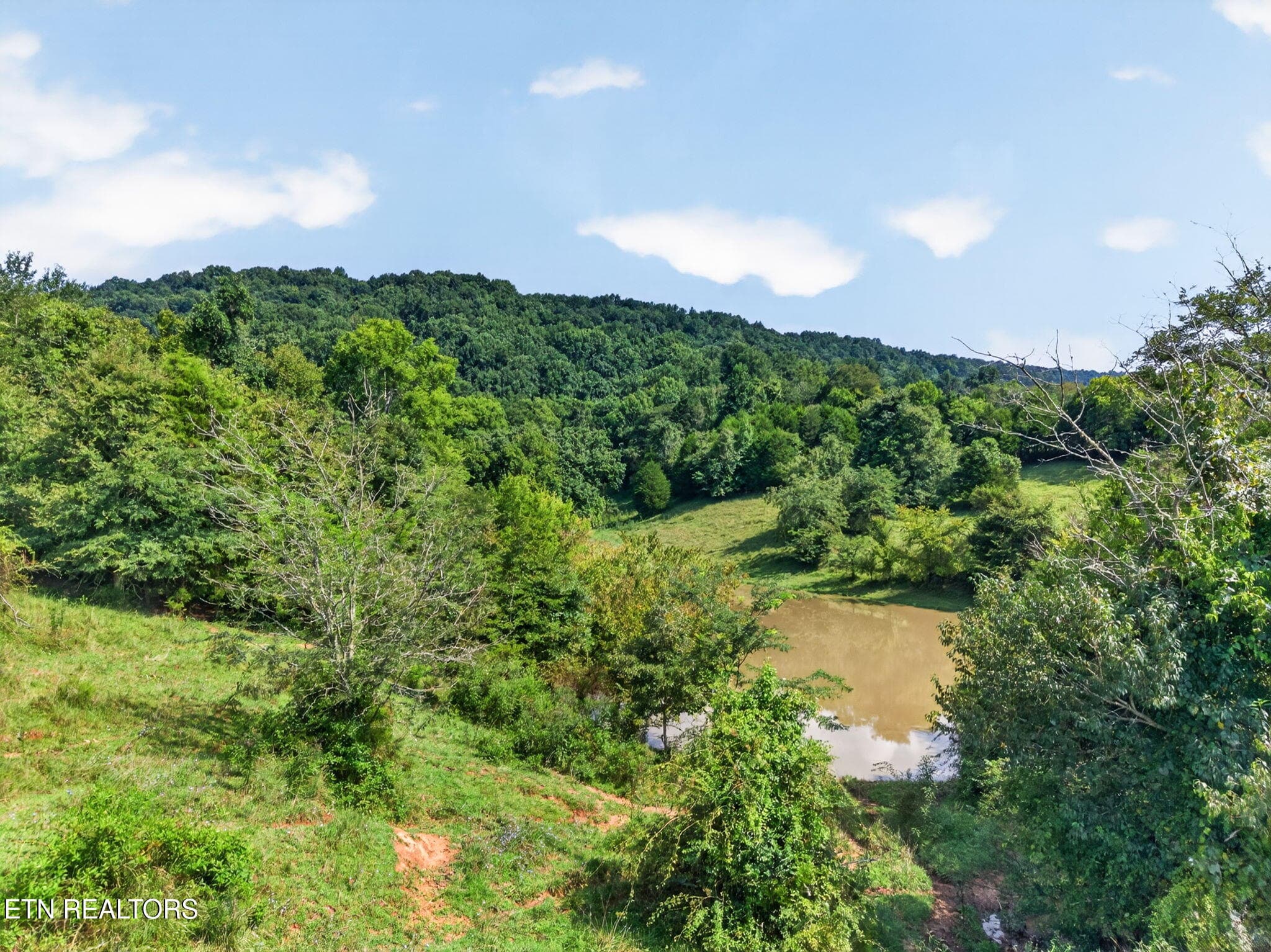 13-web-or-mls-5210 Lowes Gap Rd_061_TNPC - 5210 Lowes Gap Rd, Pikeville, TN 37367