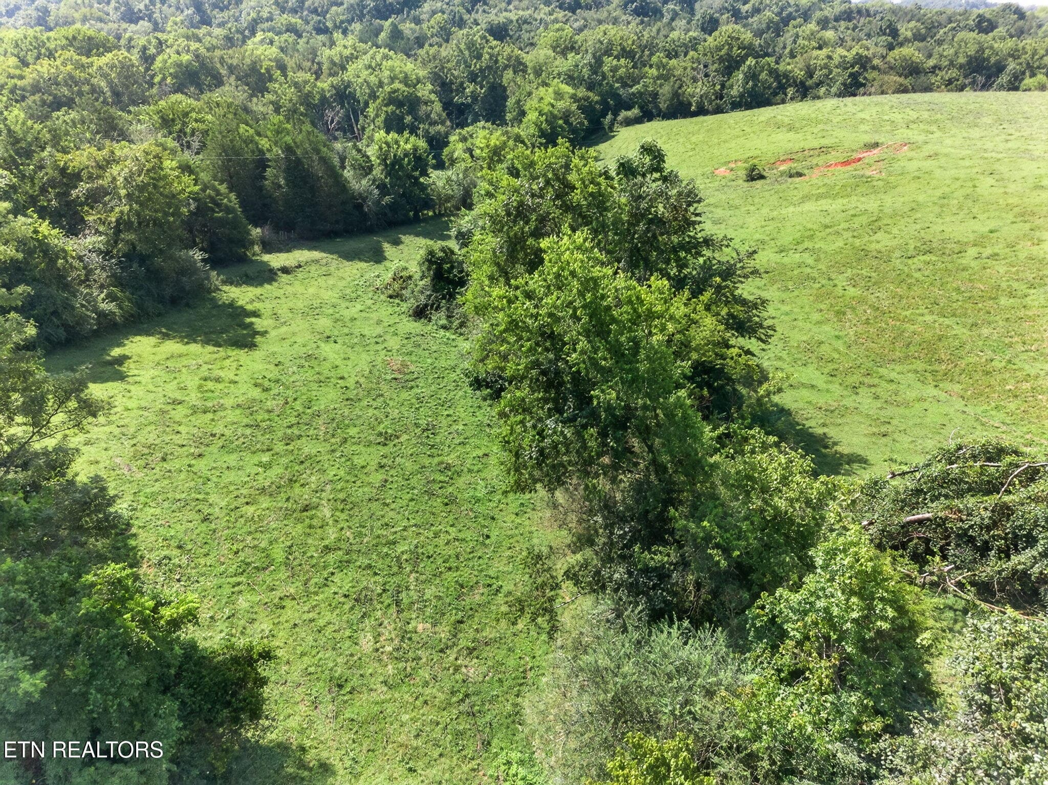 16-web-or-mls-5210 Lowes Gap Rd_081_TNPC - 5210 Lowes Gap Rd, Pikeville, TN 37367