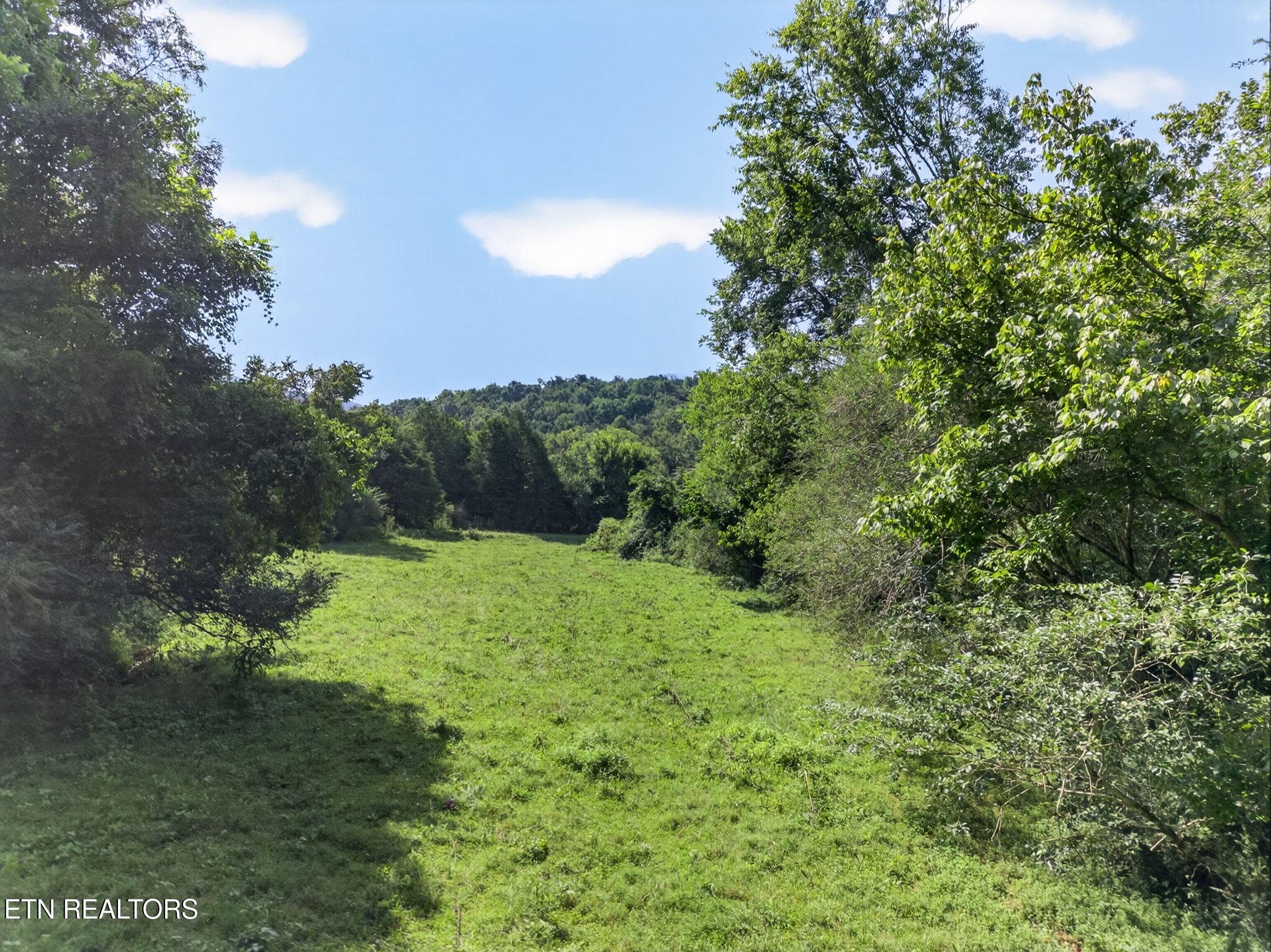 17-web-or-mls-5210 Lowes Gap Rd_086_TNPC - 5210 Lowes Gap Rd, Pikeville, TN 37367