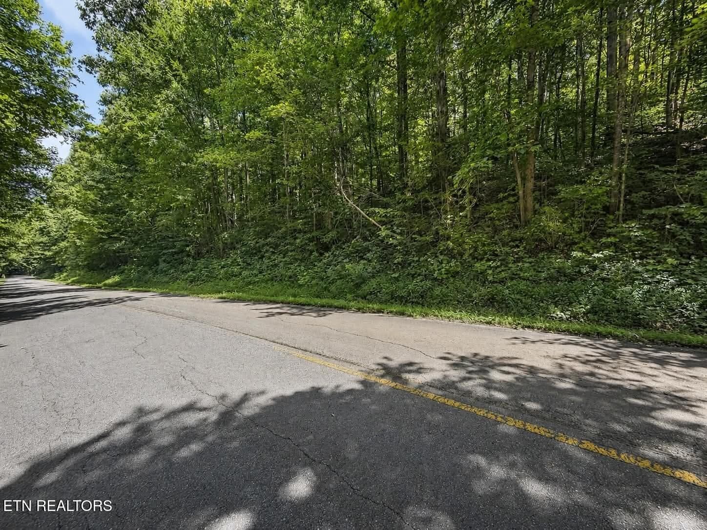 ba3acfc7-9a8b-4470-924b-4eaa149f86d0 - Johnson Valley Rd, Philadelphia, TN 37846