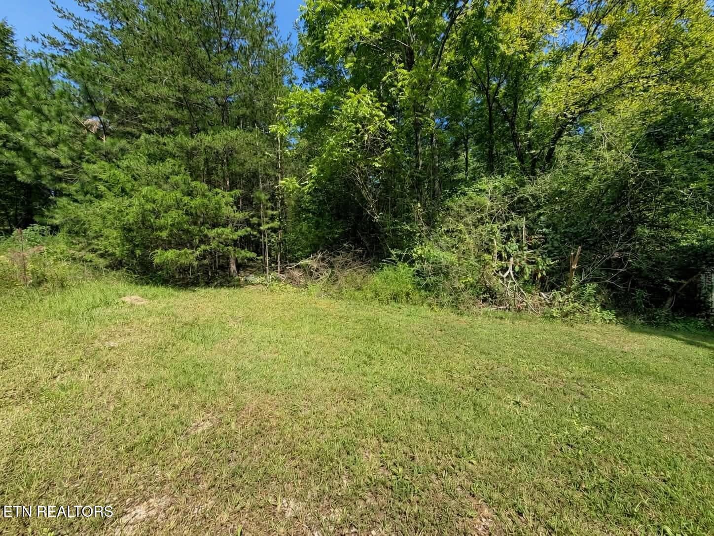facb1d2d-f296-42bc-a892-46b04718afab - Black Oak Ridge Rd, Dayton, TN 37321