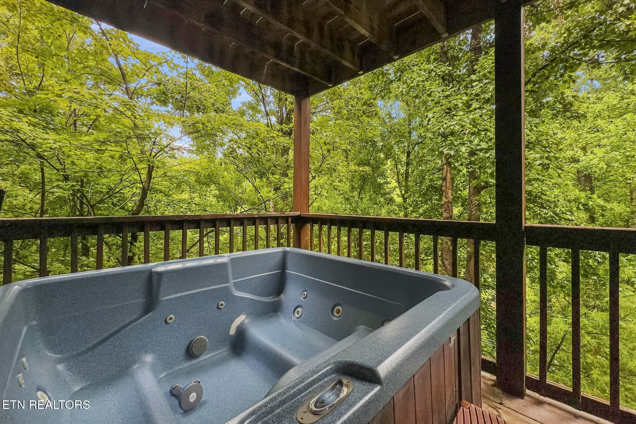 img_6603 - 2416 Balsam Circle, Sevierville, TN 37876, Sevierville