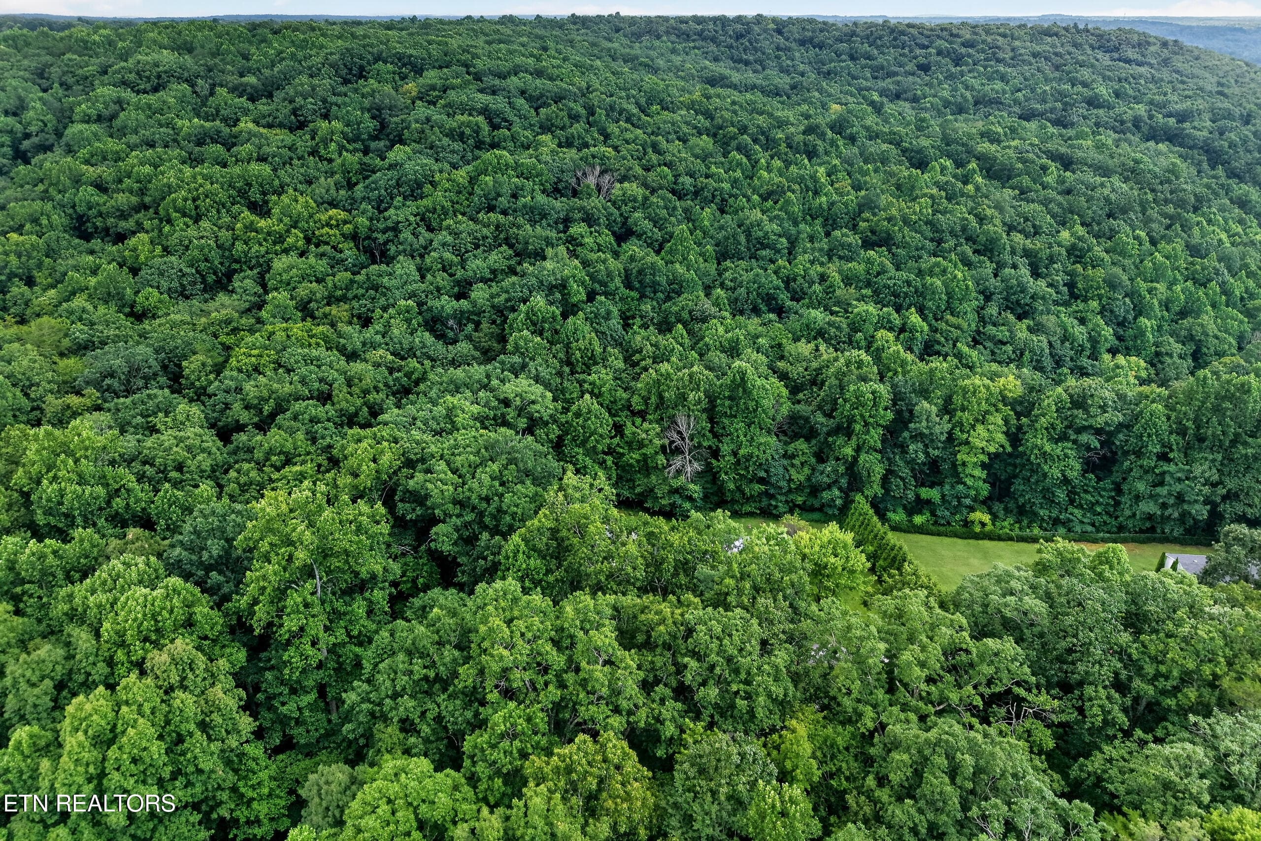 DJI_20260807025129_0018_D - 582 Spencer Drive, Spencer, TN 38585