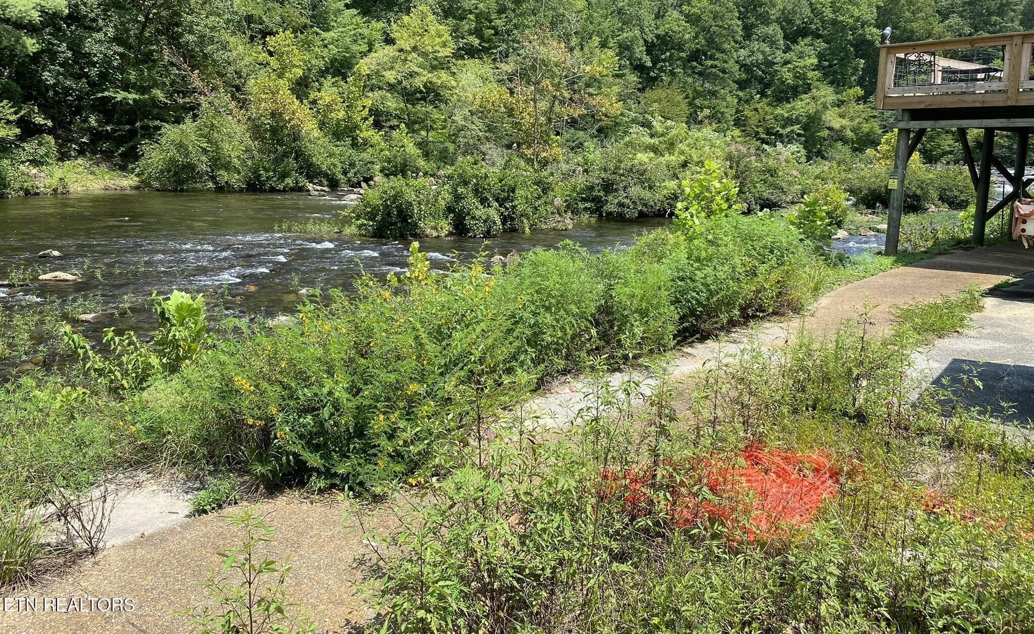 River View - 1665 Cherohala Skyway, Tellico Plains, TN 37385