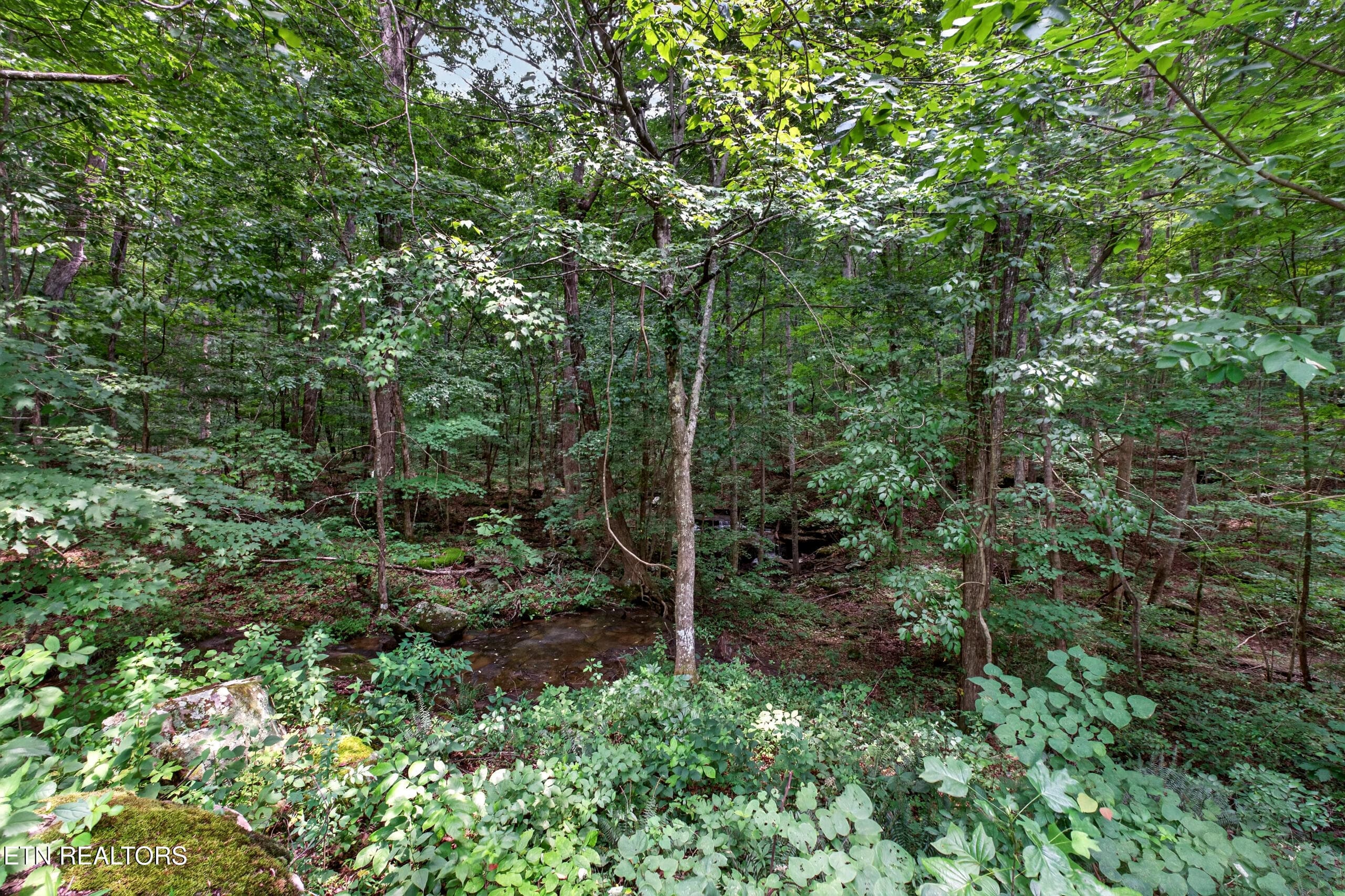 DSC07744 - 582 Spencer Drive, Spencer, TN 38585