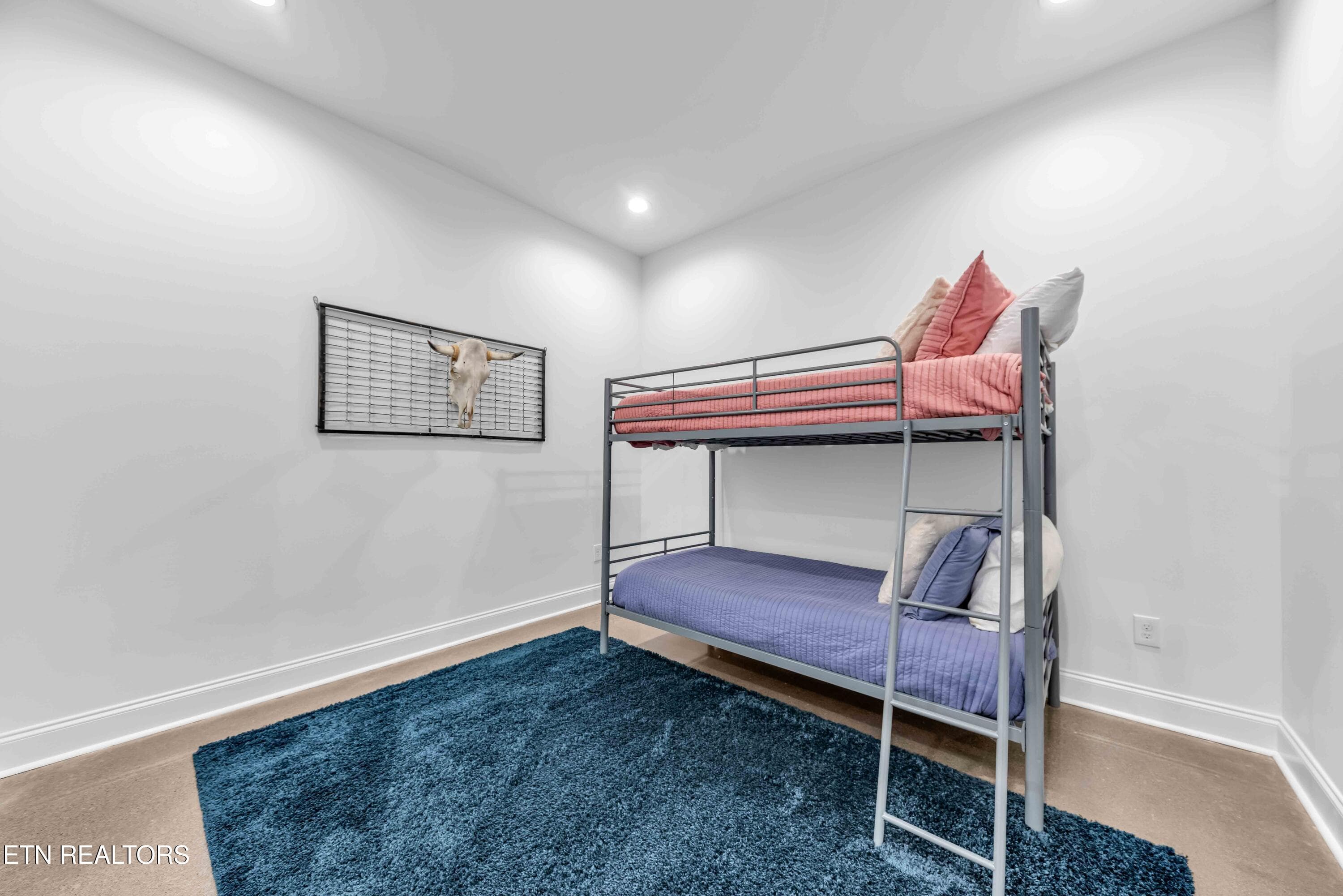 Basement - 436 Laurel Ridge Lane, Knoxville, TN 37922, Knoxville