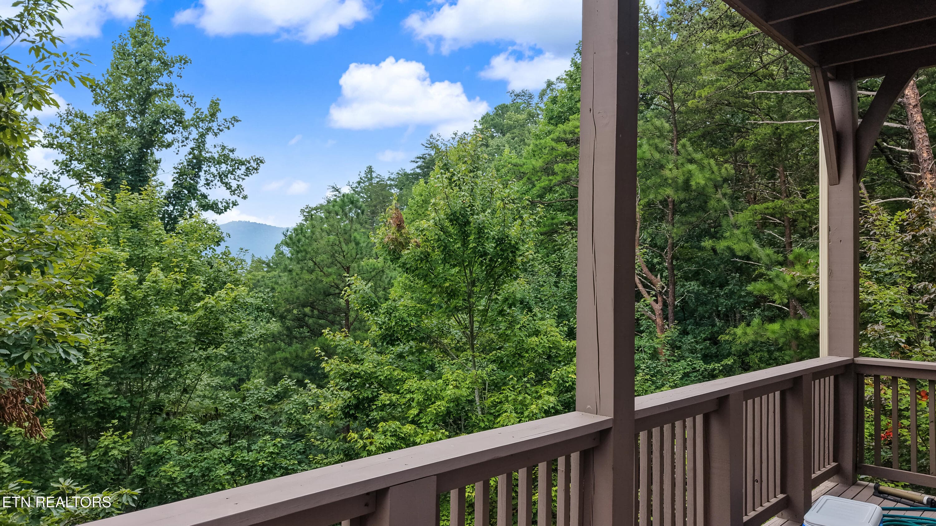 DJI_20260814142955_0099_D-2 - 715 Christy Lane, Townsend, TN 37882