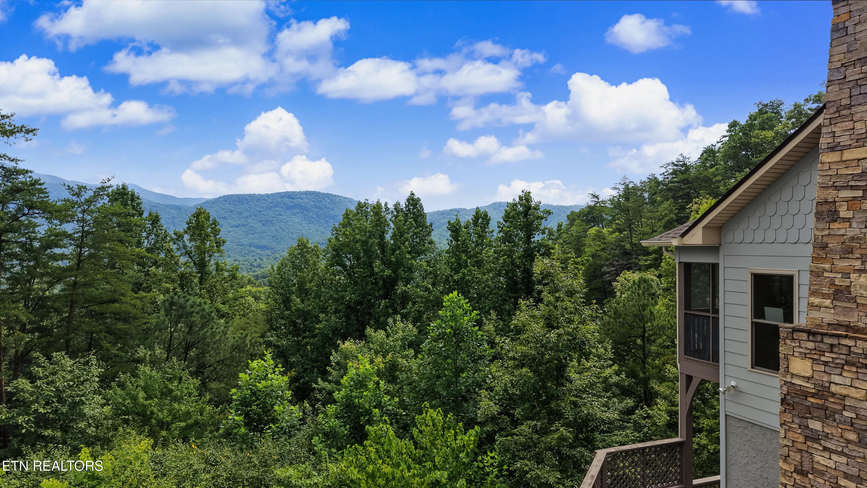 DJI_20260814151448_0117_D-2 - 715 Christy Lane, Townsend, TN 37882