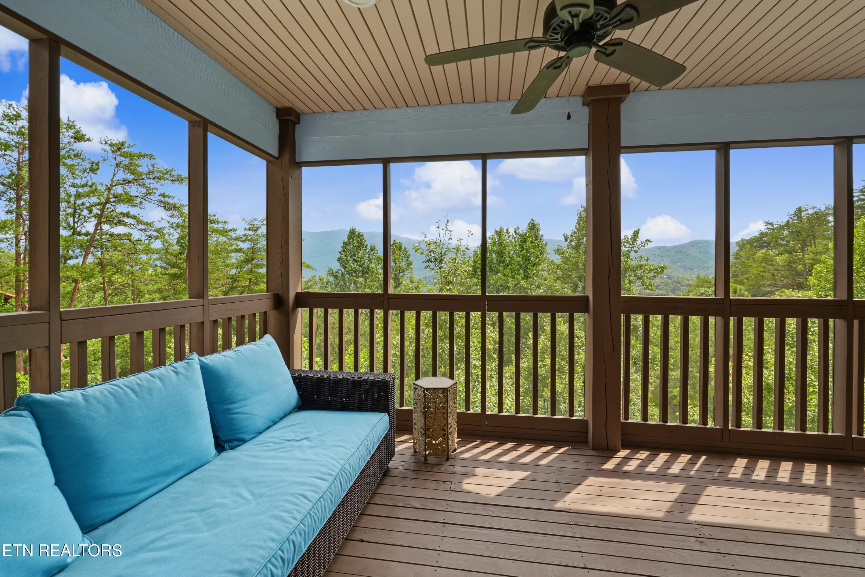 DSC04147-2 - 715 Christy Lane, Townsend, TN 37882