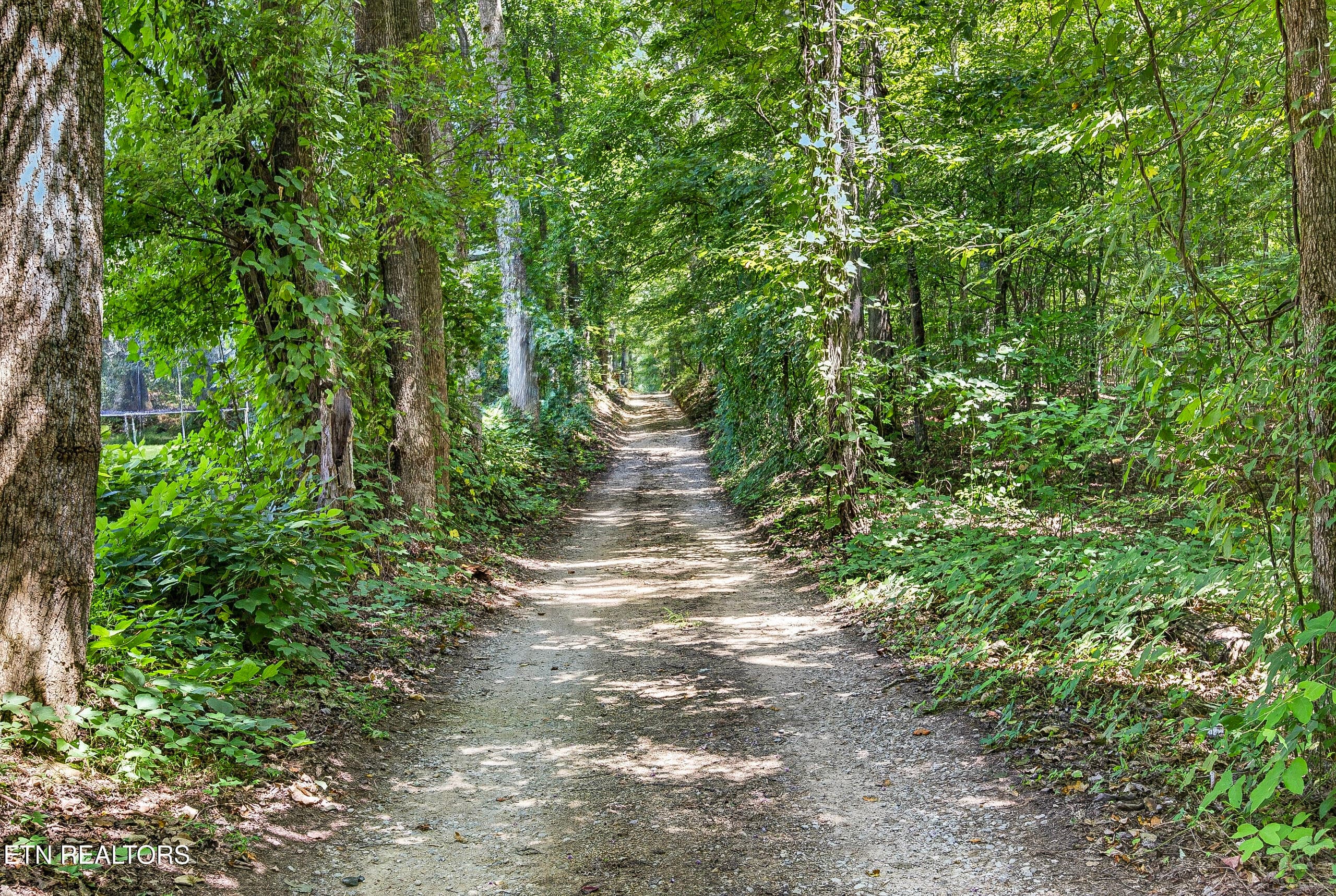 5-8N5A1623 - 7220 Friendly Rd, Baxter, TN 38544, Baxter