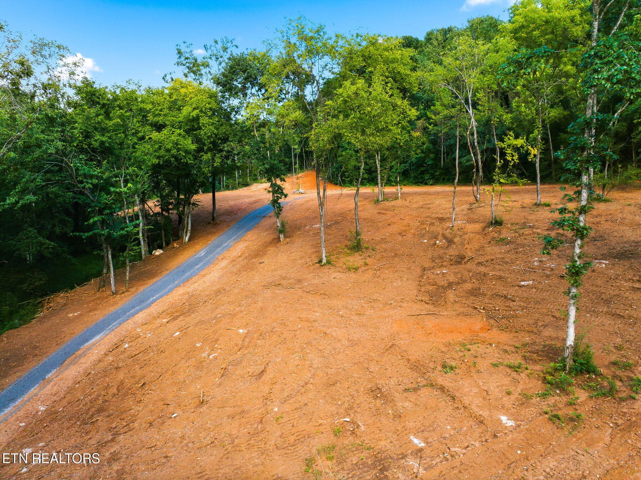 13-web-or-mls-330-Co-Rd-267-Niota-TN-13 - County Road 267, Niota, TN 37826
