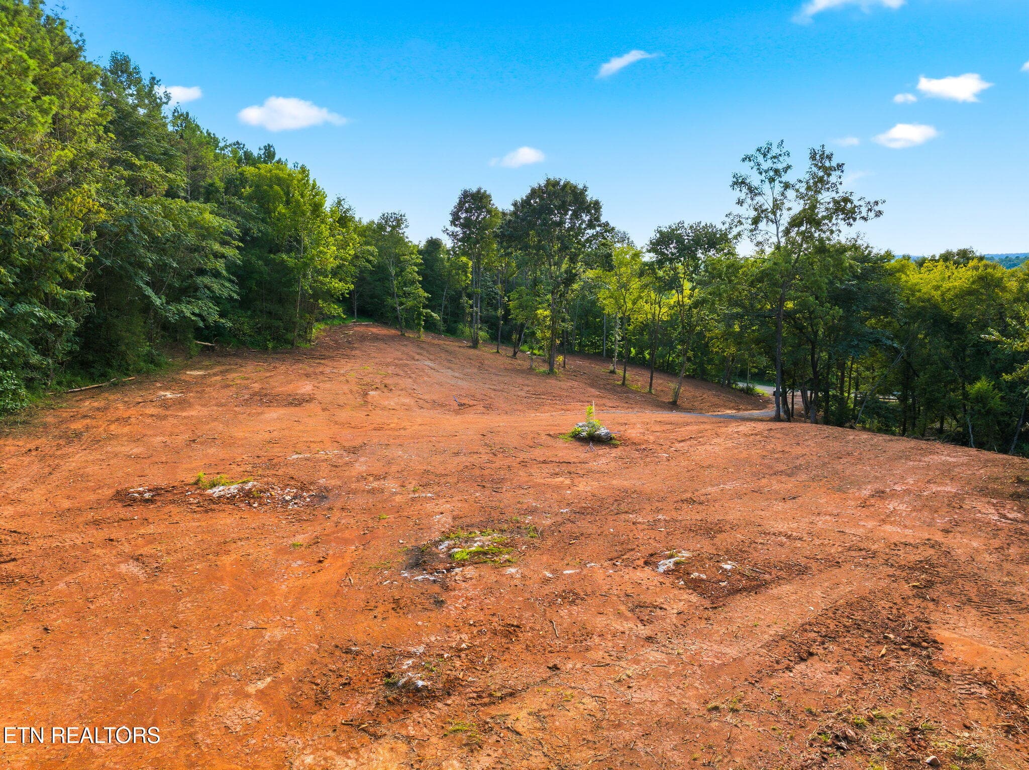 16-web-or-mls-330-Co-Rd-267-Niota-TN-16 - County Road 267, Niota, TN 37826