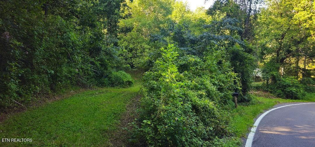 1 - 6504 Highway 66, Rogersville, TN 37857