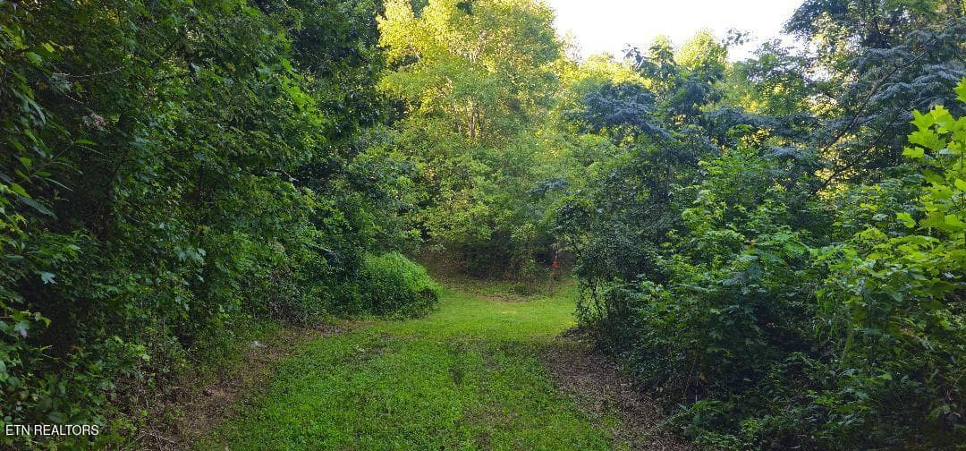 3 - 6504 Highway 66, Rogersville, TN 37857