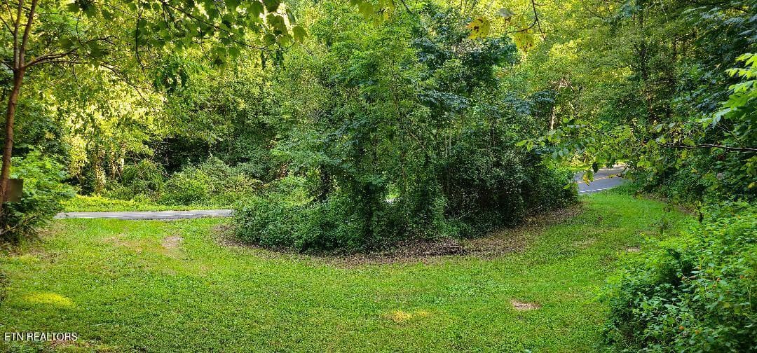 5 - 6504 Highway 66, Rogersville, TN 37857