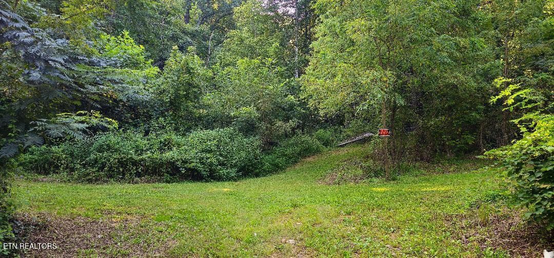 7 - 6504 Highway 66, Rogersville, TN 37857