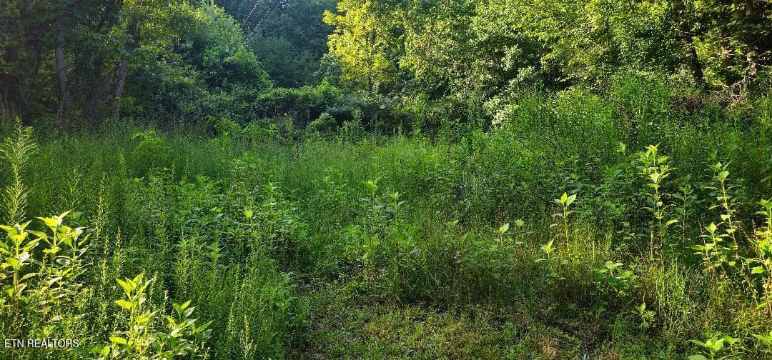 12 - 6504 Highway 66, Rogersville, TN 37857