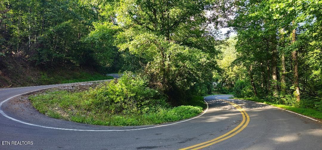 31 - 6504 Highway 66, Rogersville, TN 37857