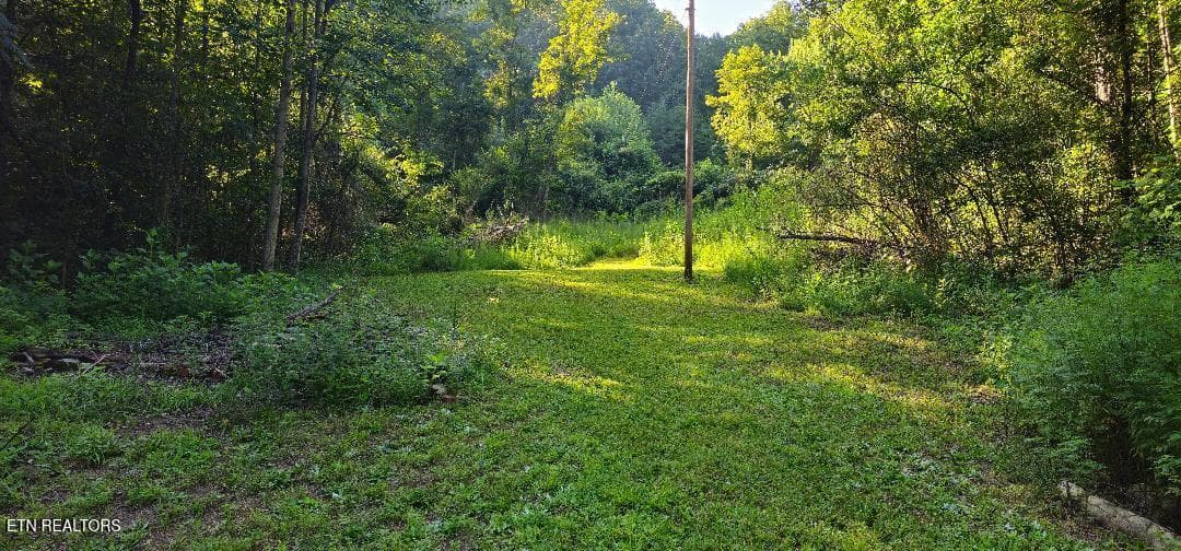 6504 Highway 66, Rogersville, TN 37857