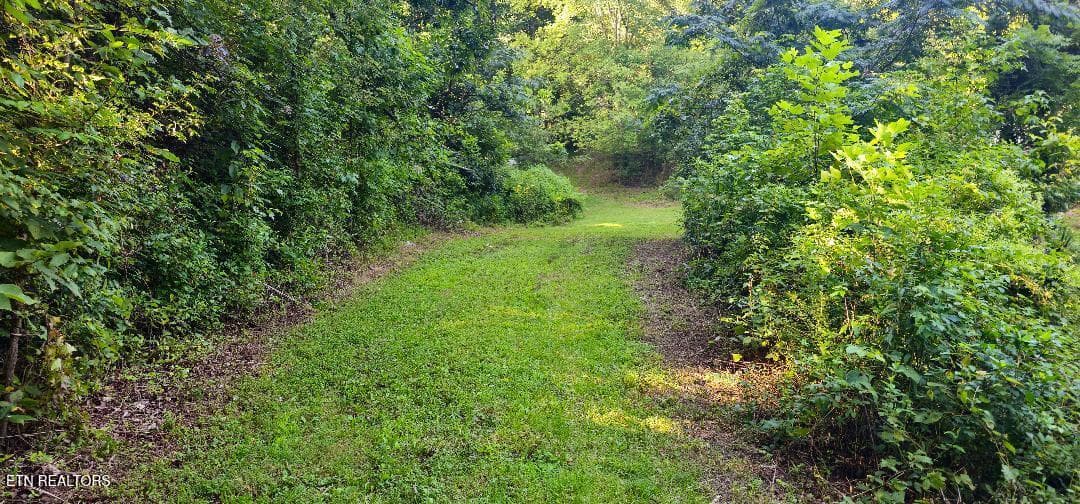 33 - 6504 Highway 66, Rogersville, TN 37857