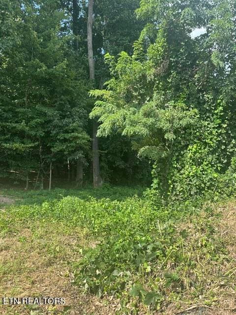 image2 (3) - 481 Laurel Ridge Lane, Knoxville, TN 37922