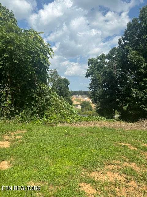 image2 (4) - 480 Laurel Ridge Lane, Knoxville, TN 37922