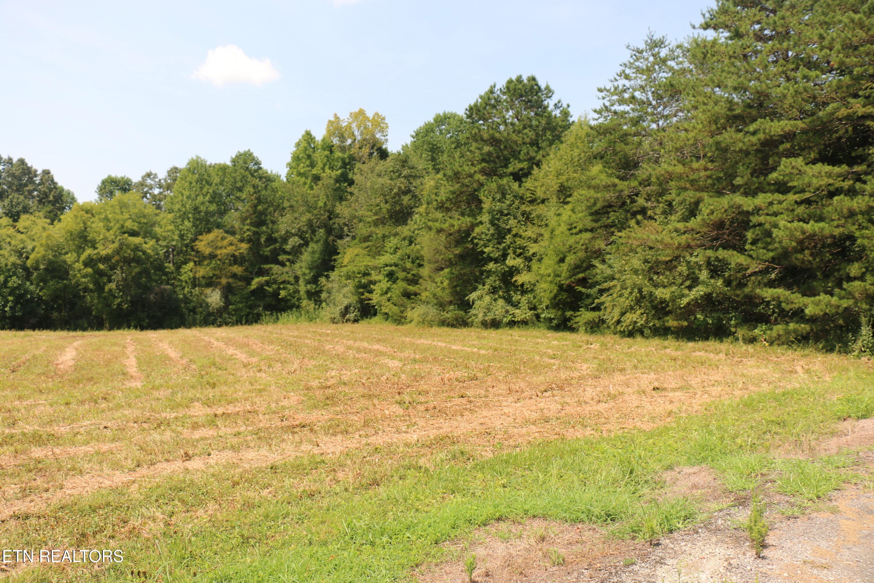 IMG_8501 - 7.6 Acres Chestuee Ave, Englewood, TN 37329, Englewood
