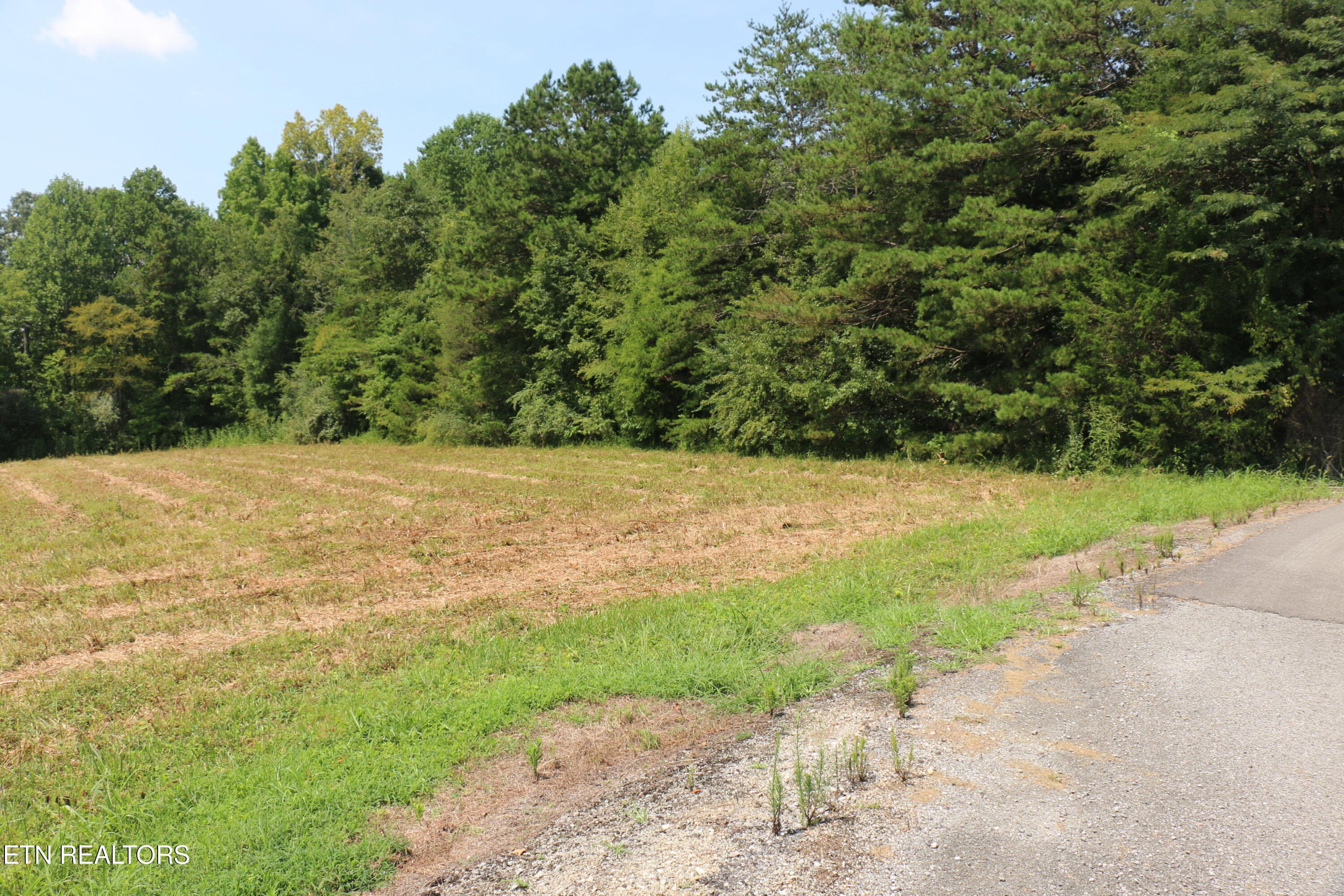 IMG_8502 - 7.6 Acres Chestuee Ave, Englewood, TN 37329, Englewood