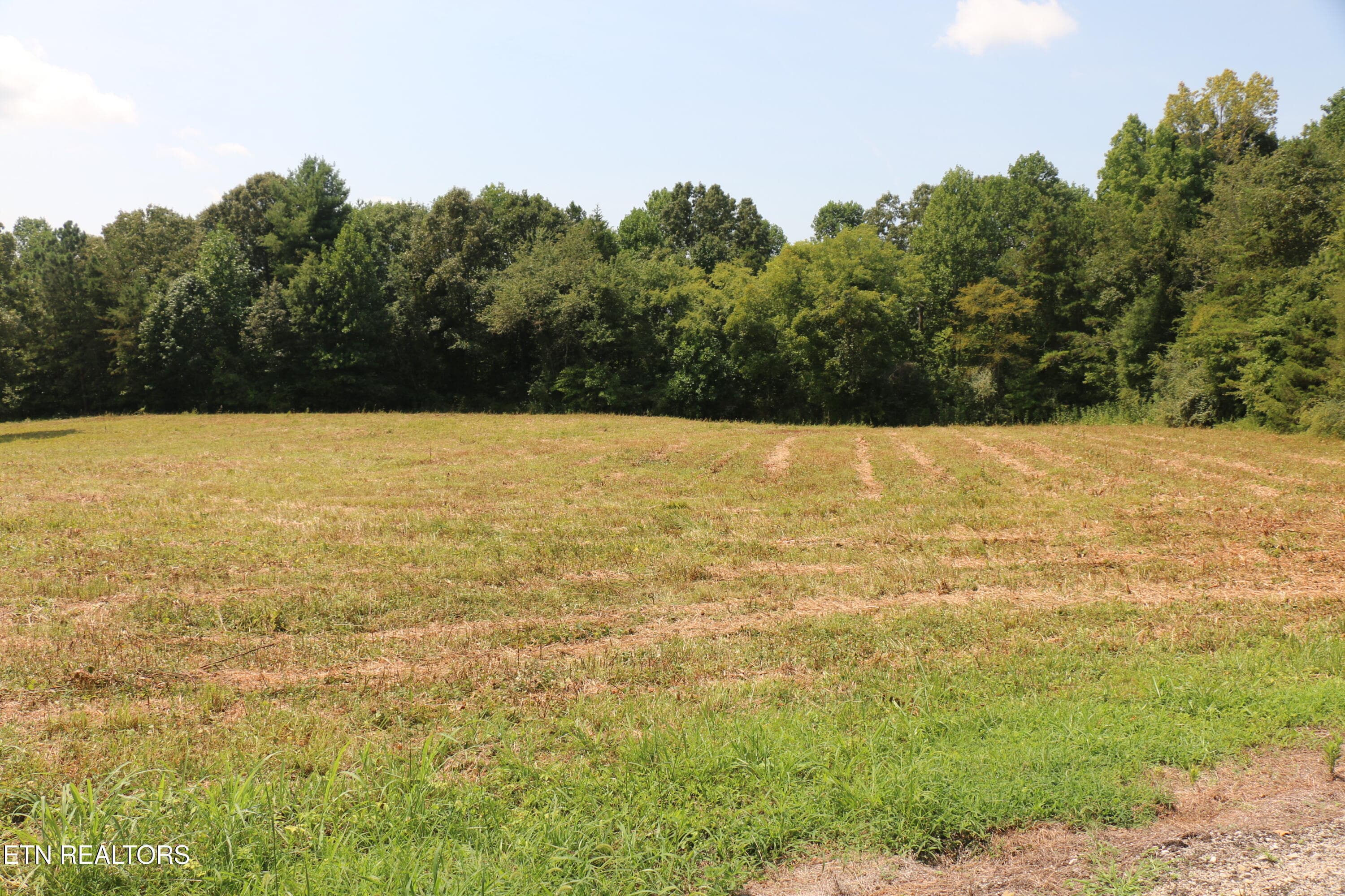 IMG_8503 - 7.6 Acres Chestuee Ave, Englewood, TN 37329, Englewood