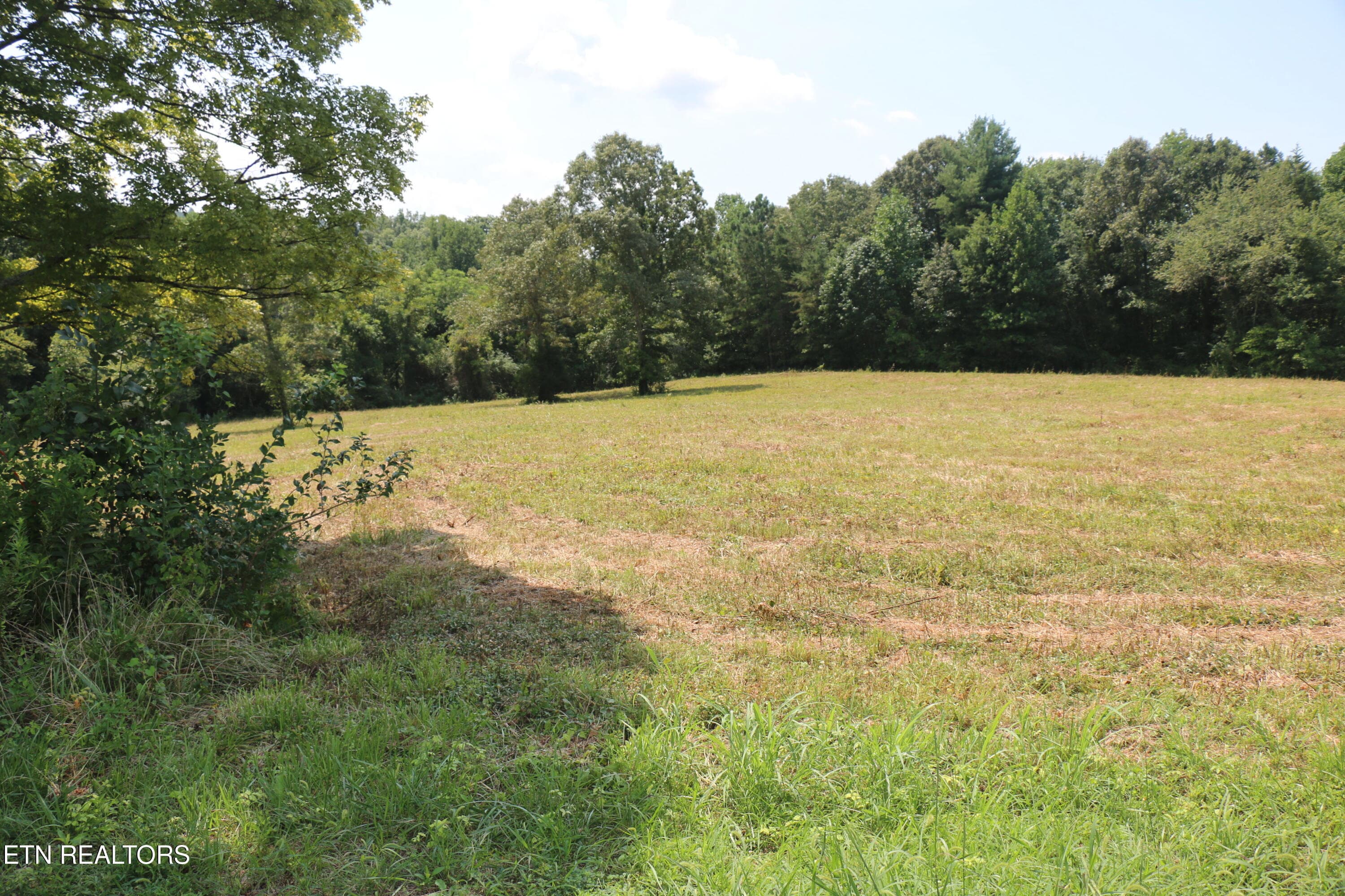 IMG_8505 - 7.6 Acres Chestuee Ave, Englewood, TN 37329, Englewood