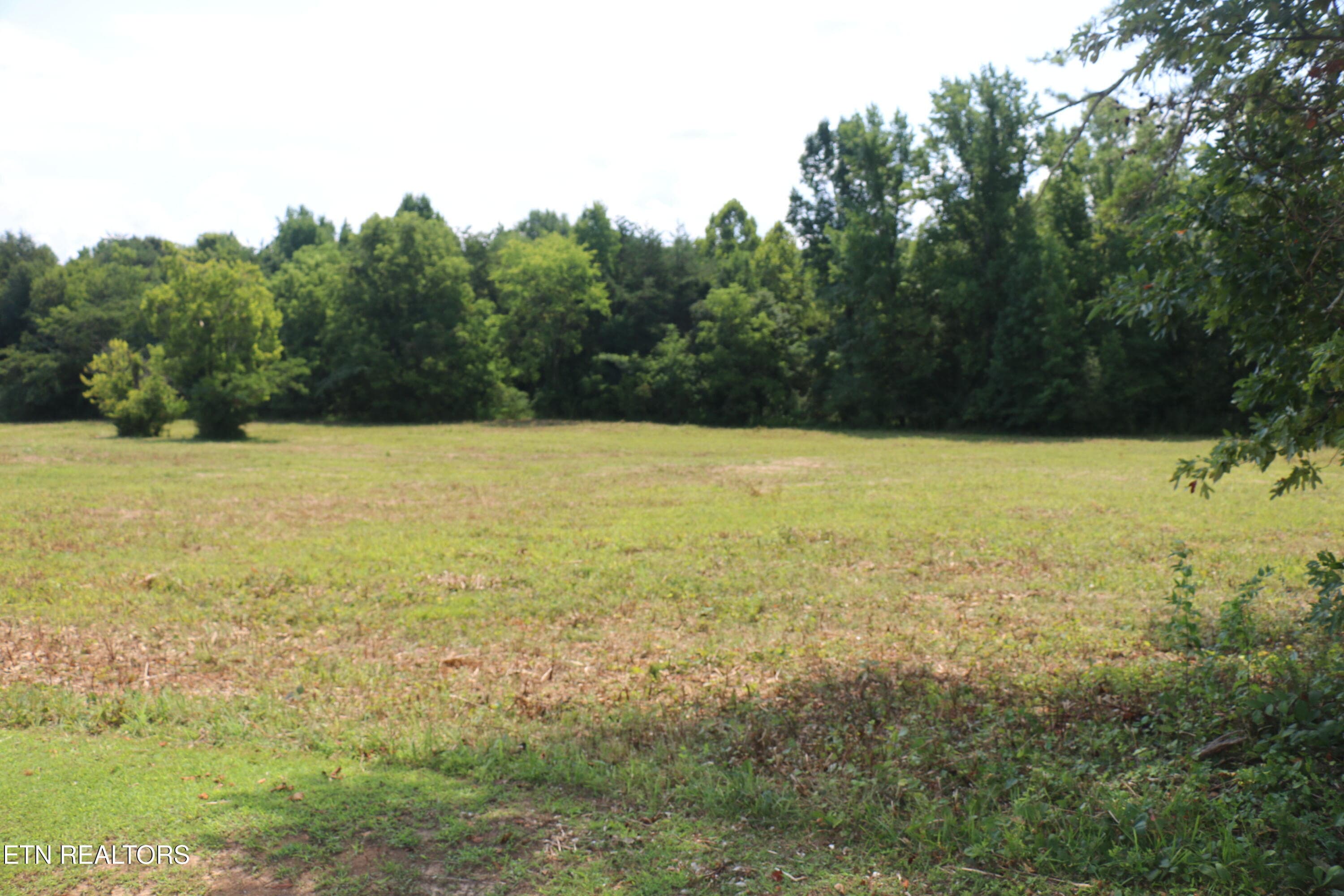 IMG_8491 - 28.6 Acres 4th St, Englewood, TN 37329, Englewood