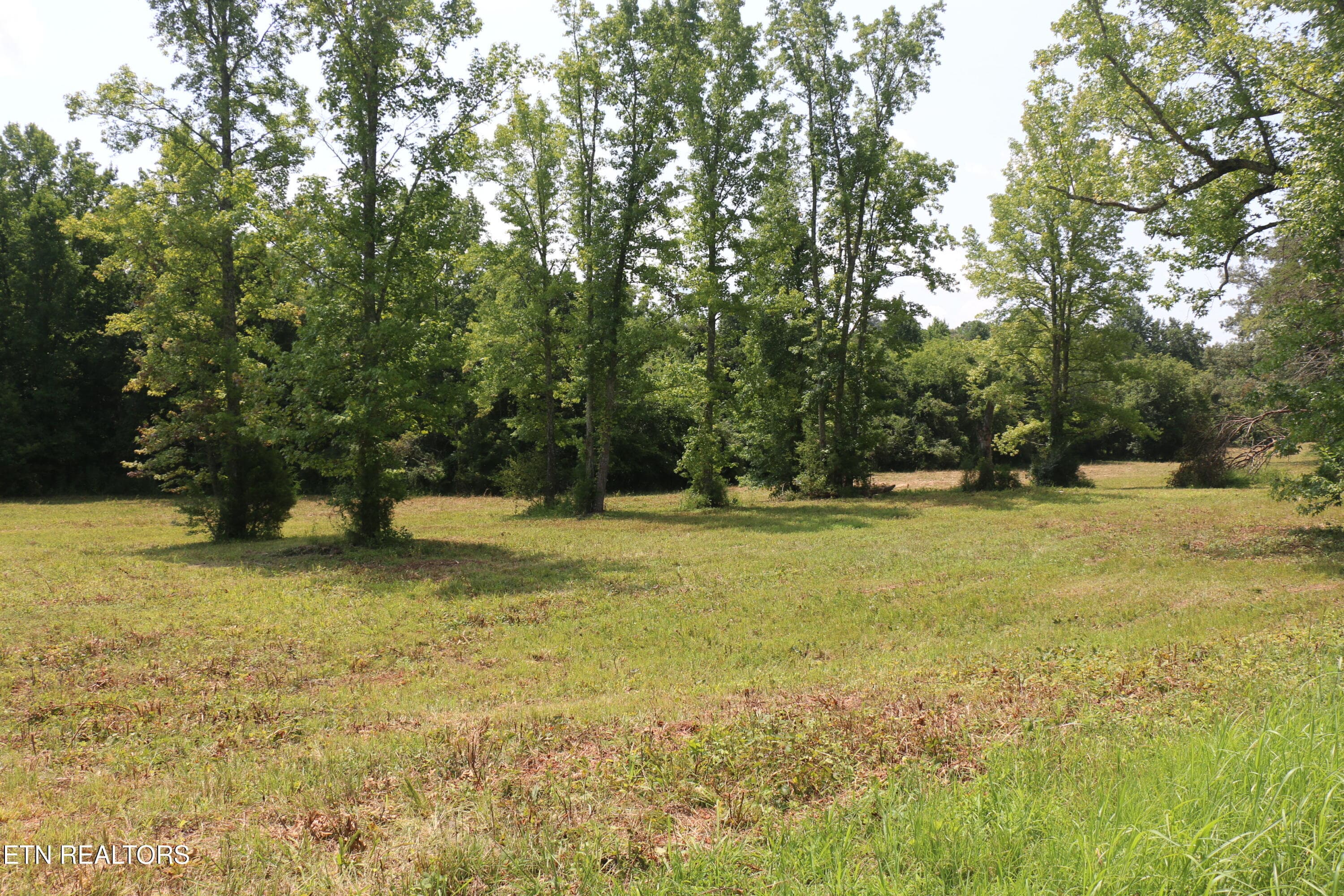 IMG_8492 - 28.6 Acres 4th St, Englewood, TN 37329, Englewood