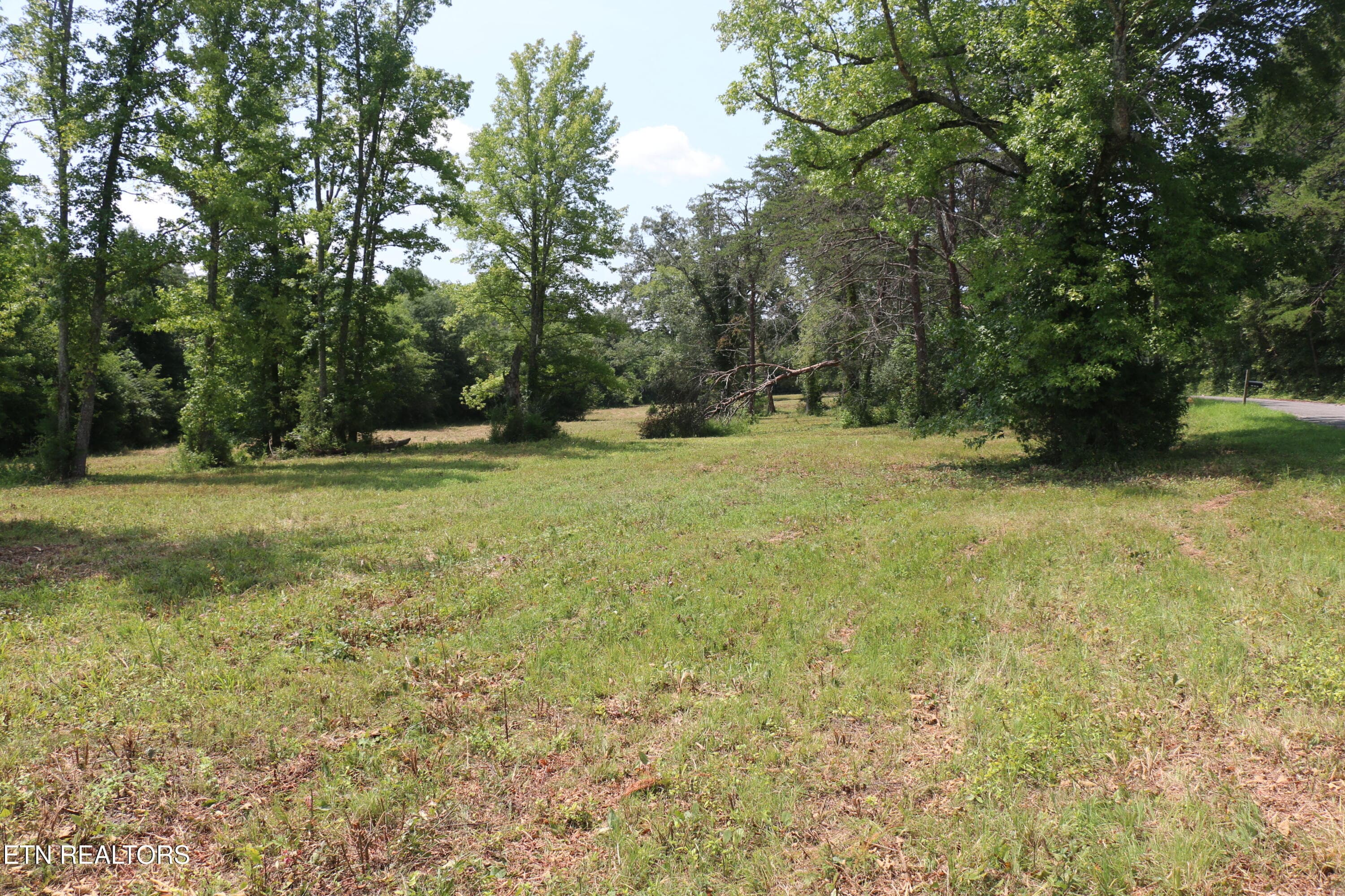 IMG_8493 - 28.6 Acres 4th St, Englewood, TN 37329, Englewood