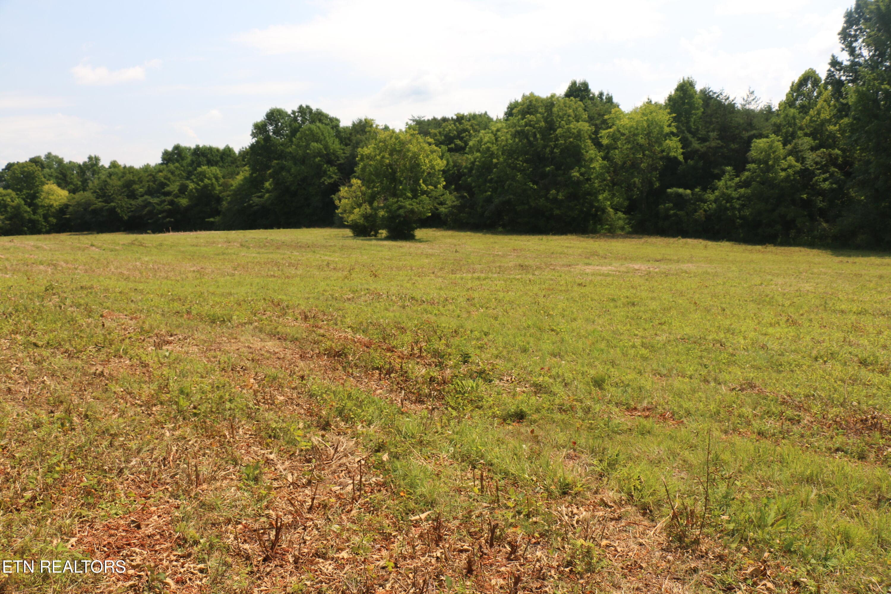 IMG_8494 - 28.6 Acres 4th St, Englewood, TN 37329, Englewood
