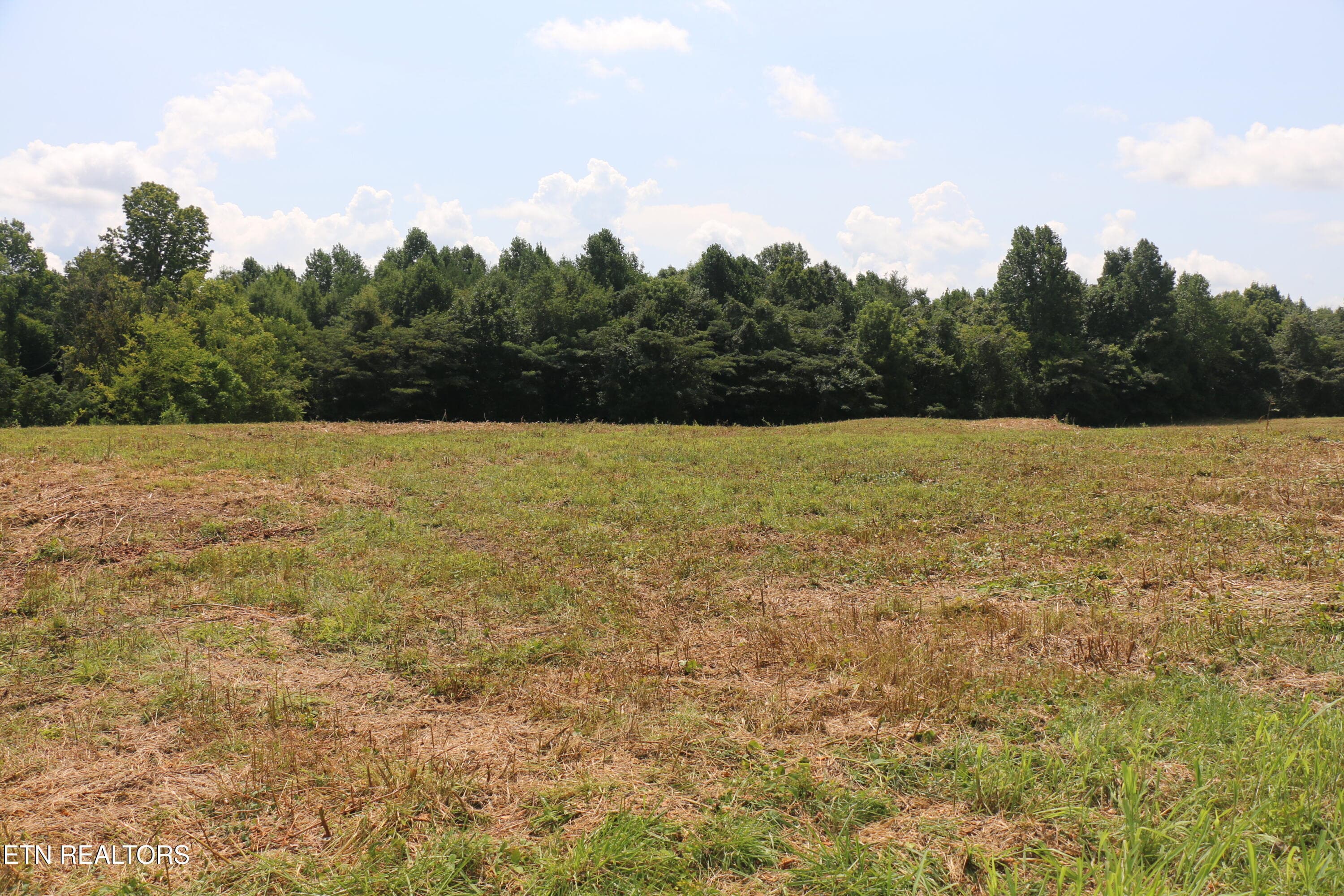 IMG_8495 - 28.6 Acres 4th St, Englewood, TN 37329, Englewood