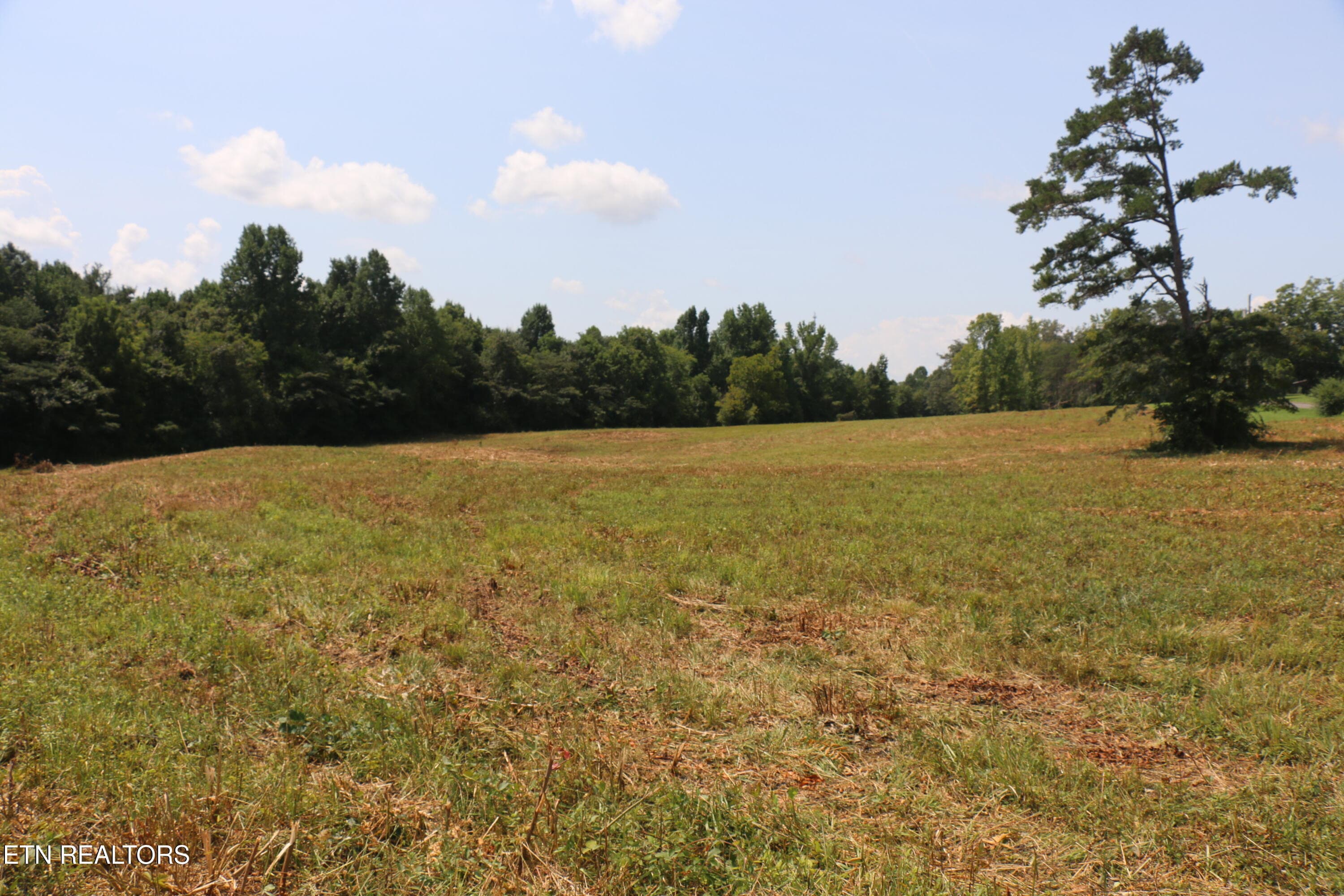 IMG_8496 - 28.6 Acres 4th St, Englewood, TN 37329, Englewood
