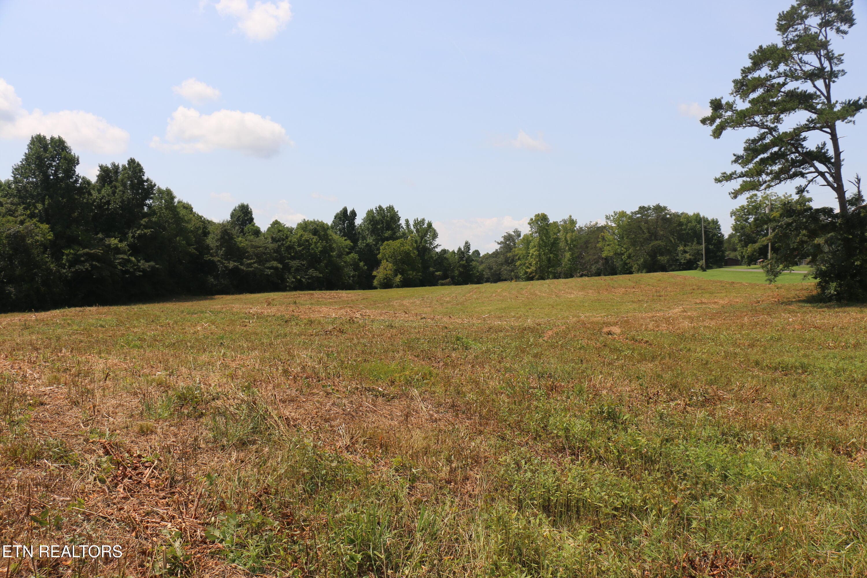 IMG_8497 - 28.6 Acres 4th St, Englewood, TN 37329, Englewood