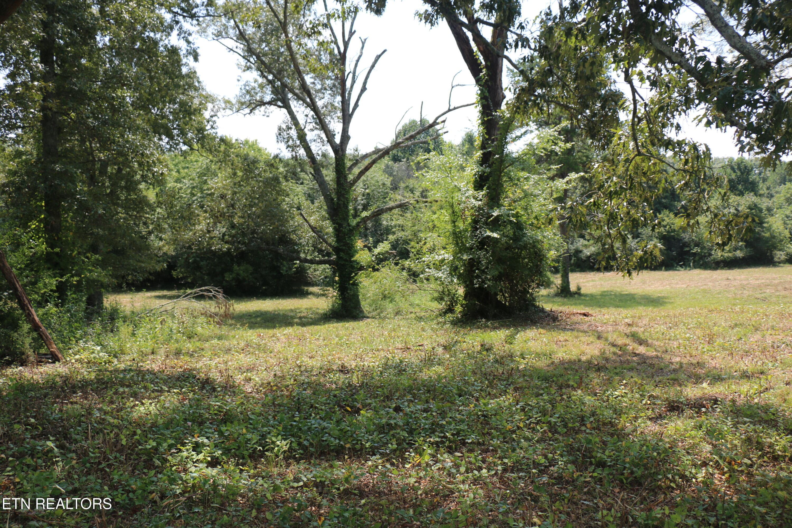 IMG_8498 - 28.6 Acres 4th St, Englewood, TN 37329, Englewood