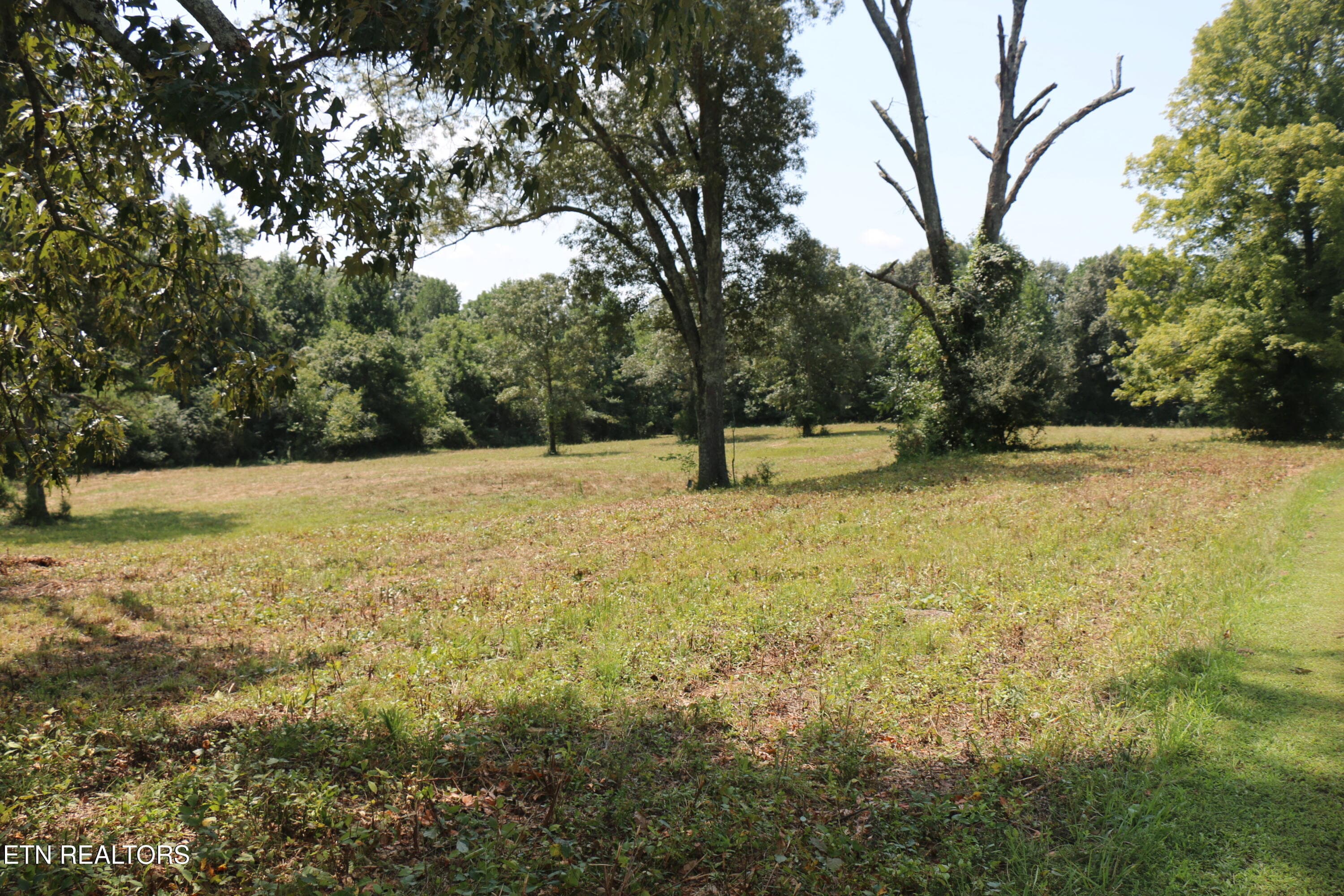 IMG_8499 - 28.6 Acres 4th St, Englewood, TN 37329, Englewood