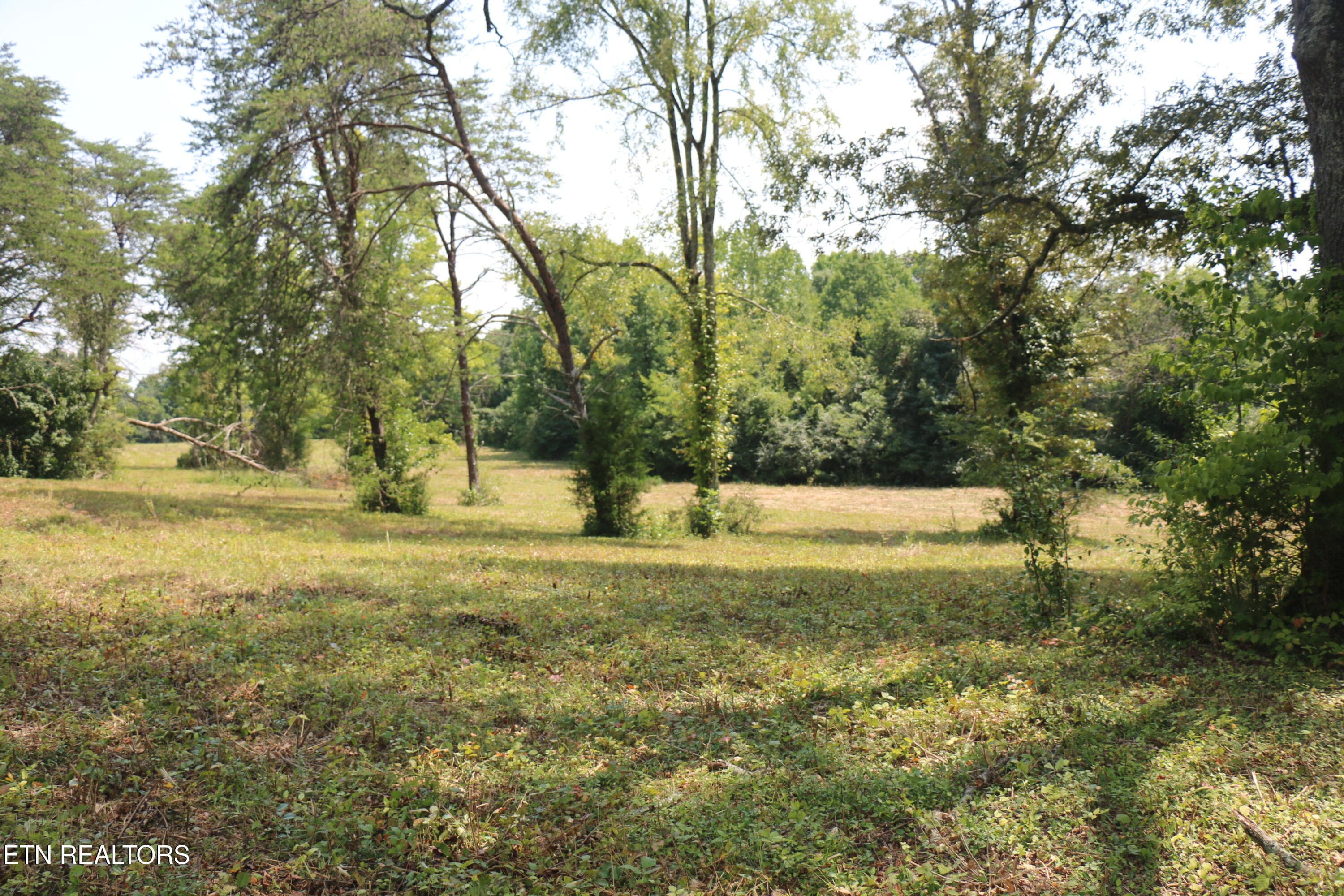 IMG_8500 - 28.6 Acres 4th St, Englewood, TN 37329, Englewood