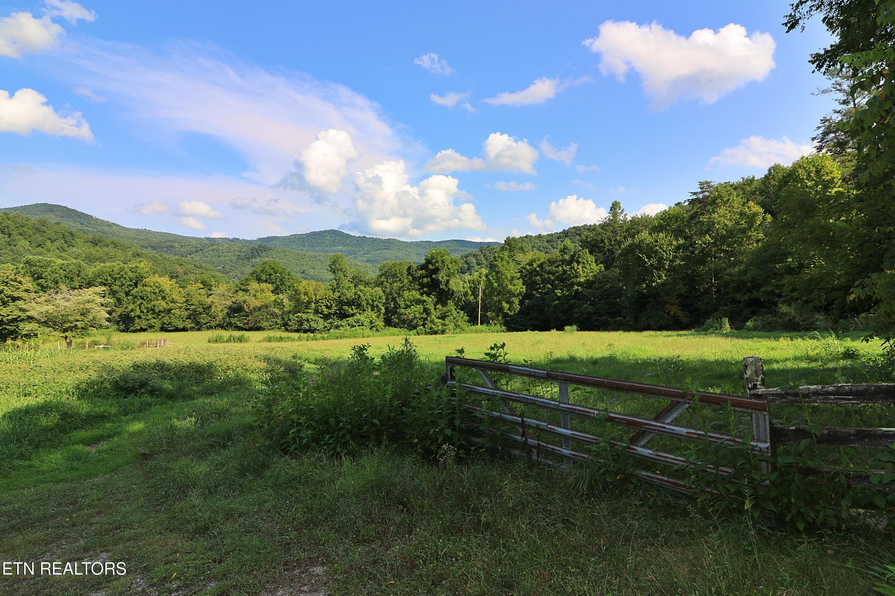 094A4355 - 7914 Brimstone Rd, Robbins, TN 37852