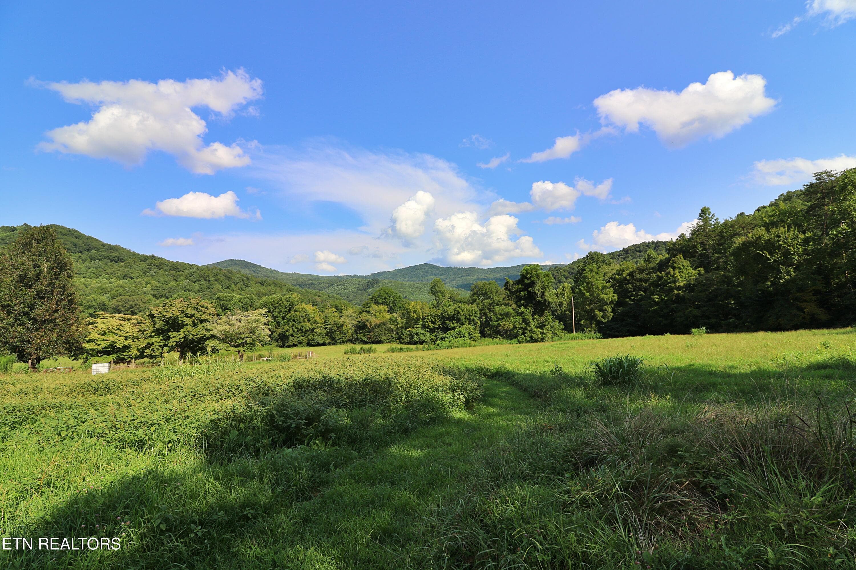 094A4358 - 7914 Brimstone Rd, Robbins, TN 37852