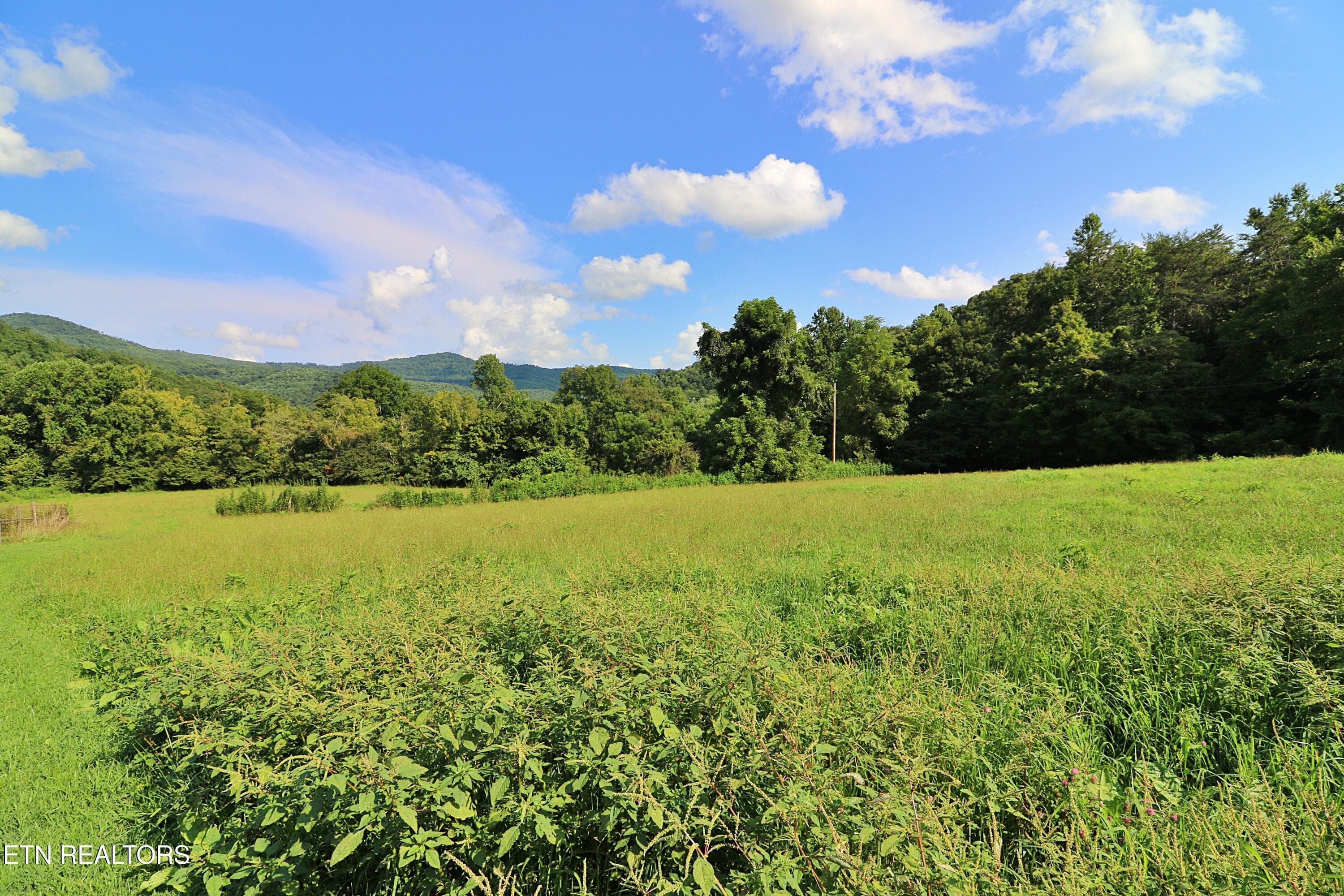 094A4364 - 7914 Brimstone Rd, Robbins, TN 37852