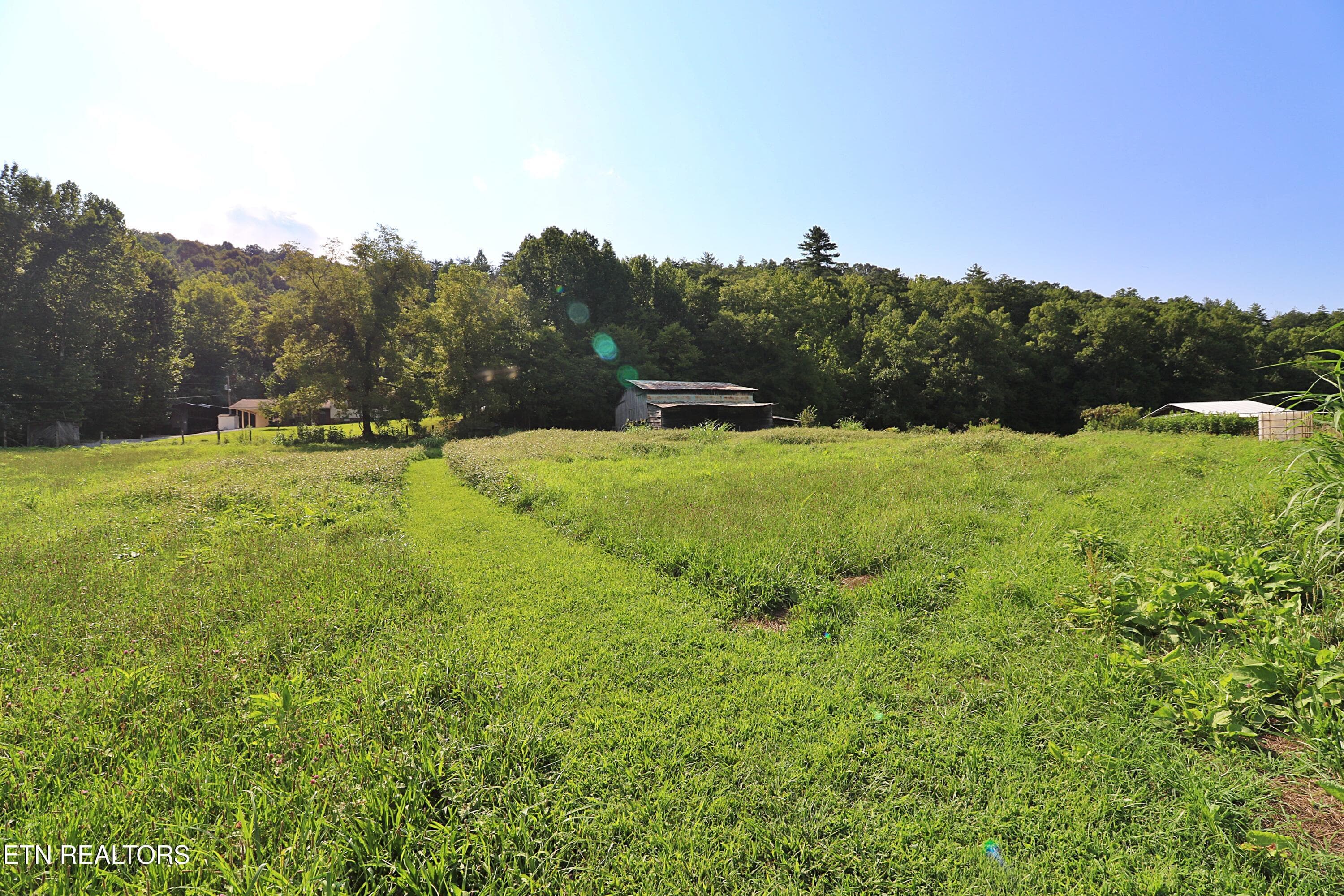 094A4368 - 7914 Brimstone Rd, Robbins, TN 37852