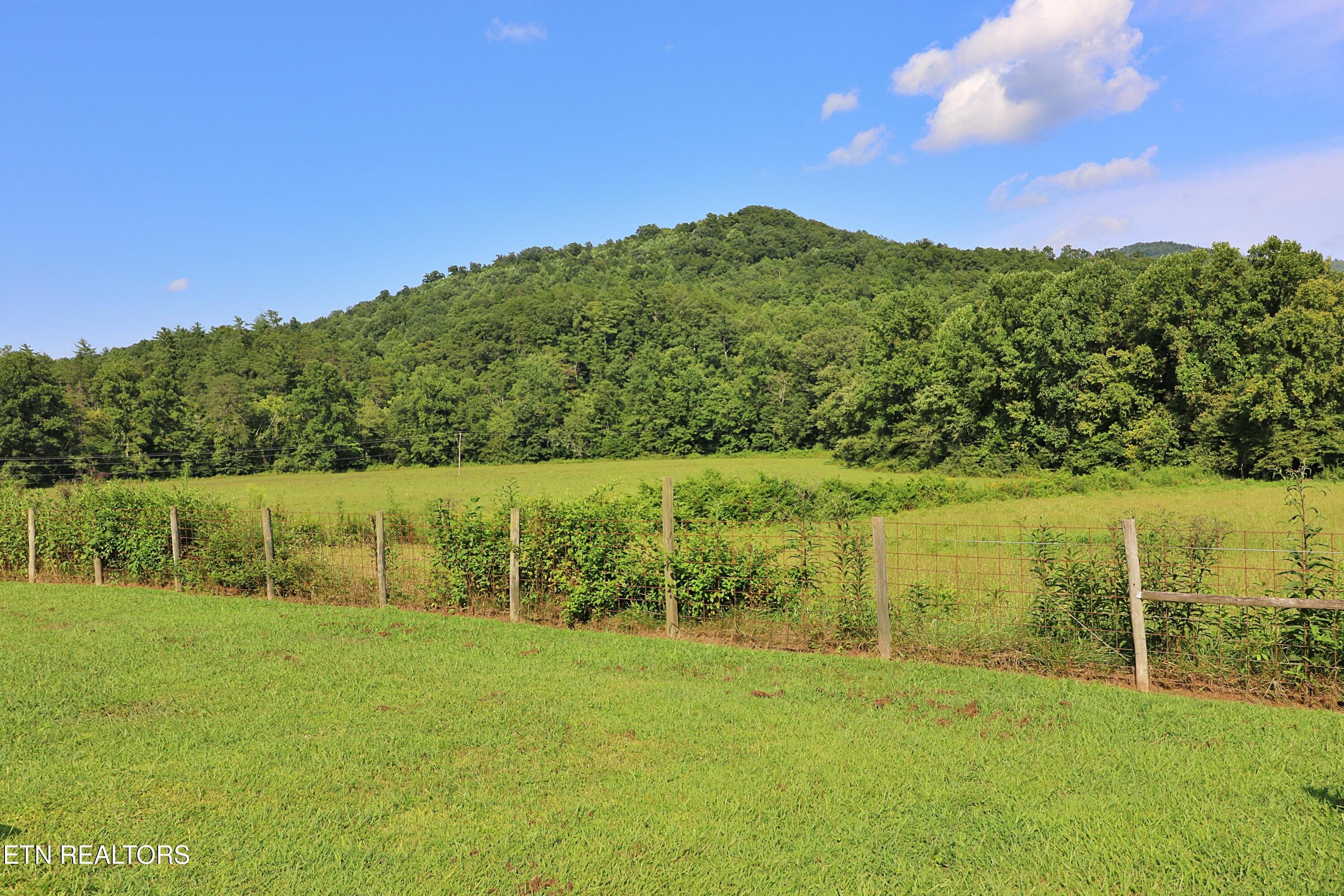 094A4369 - 7914 Brimstone Rd, Robbins, TN 37852