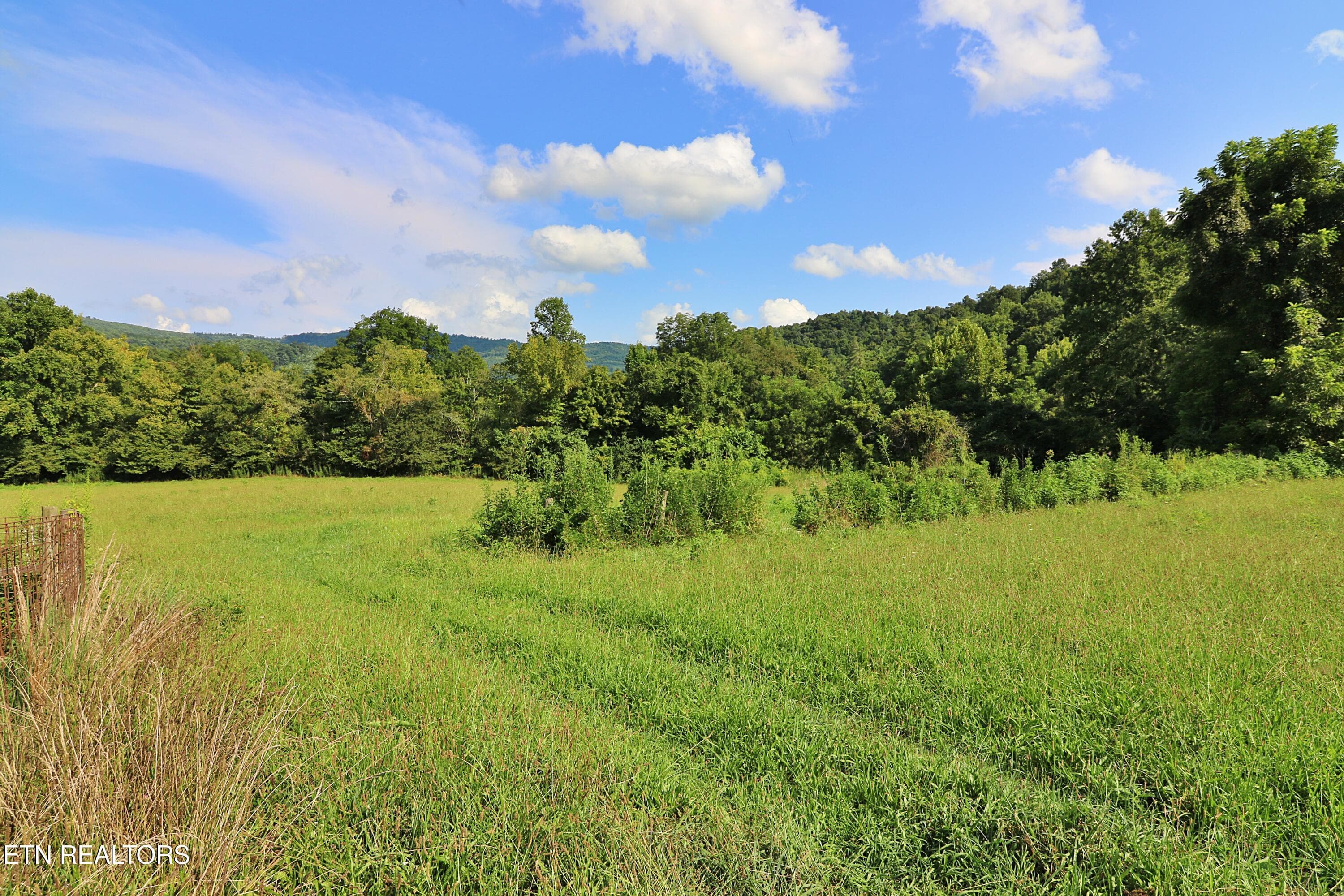 094A4370 - 7914 Brimstone Rd, Robbins, TN 37852