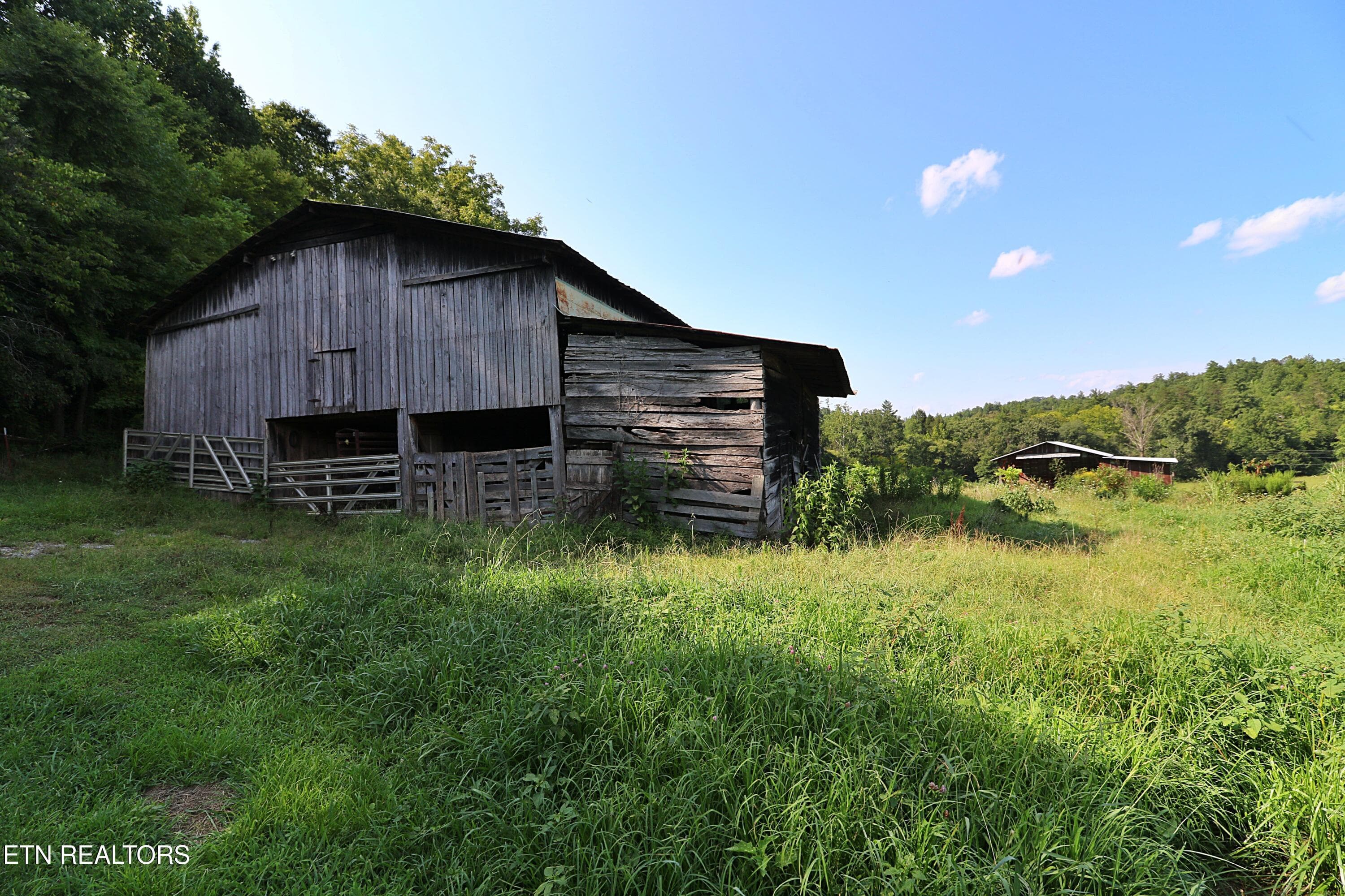 094A4373 - 7914 Brimstone Rd, Robbins, TN 37852