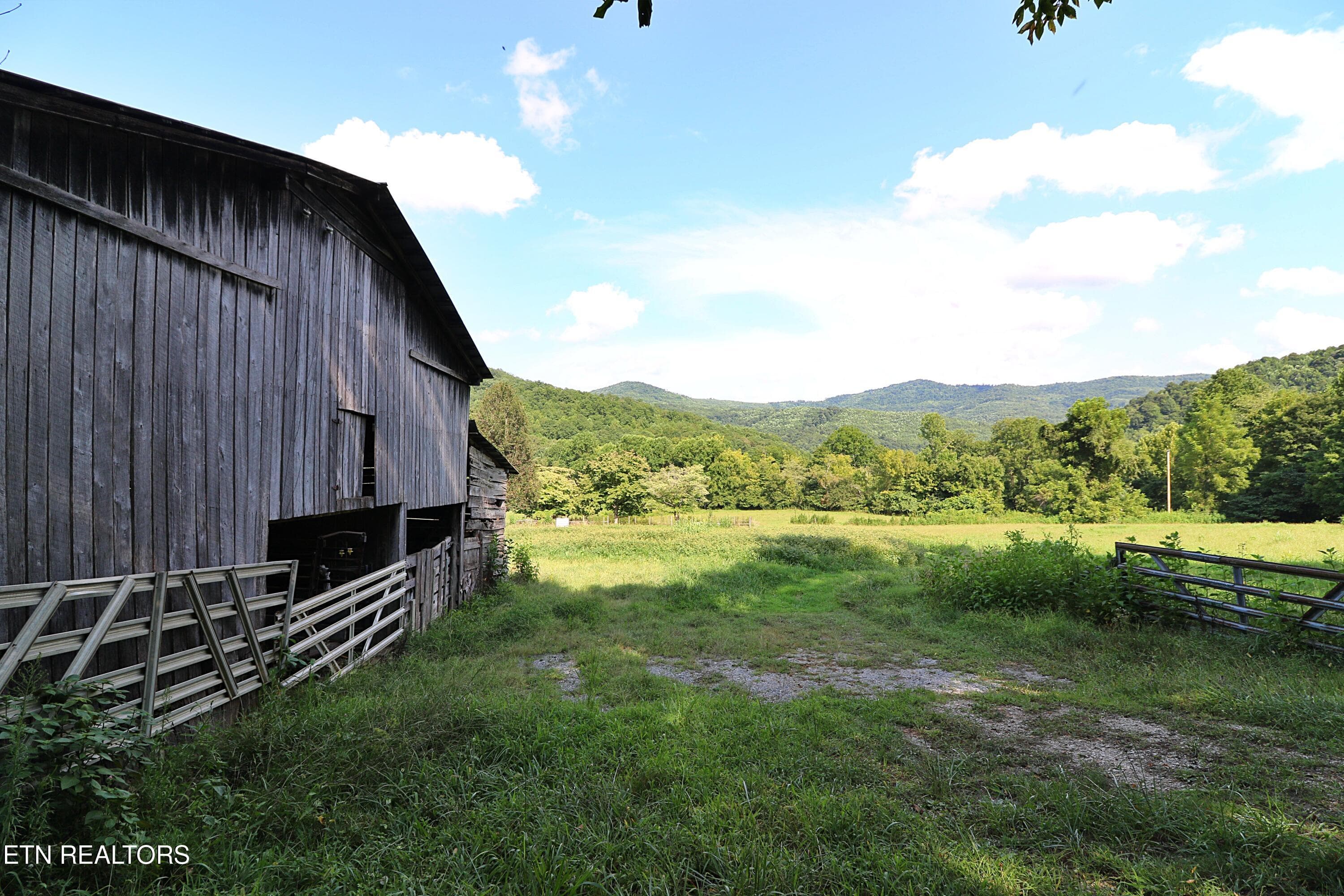 094A4375 - 7914 Brimstone Rd, Robbins, TN 37852
