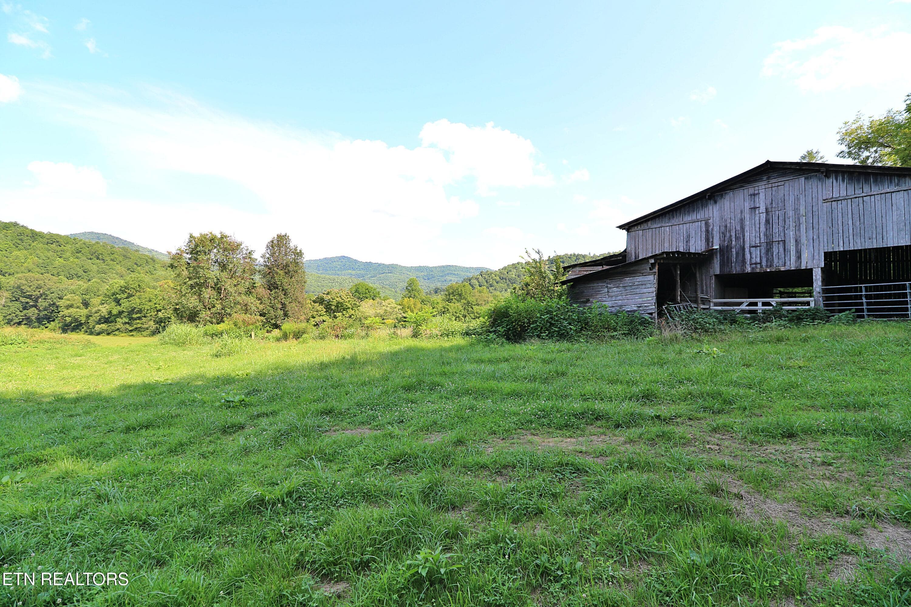 094A4377 - 7914 Brimstone Rd, Robbins, TN 37852