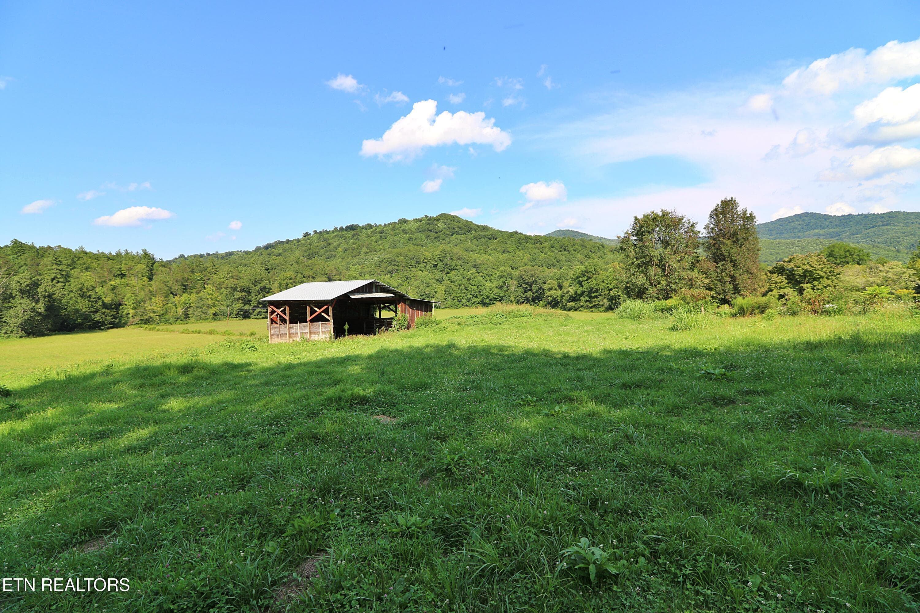 094A4378 - 7914 Brimstone Rd, Robbins, TN 37852